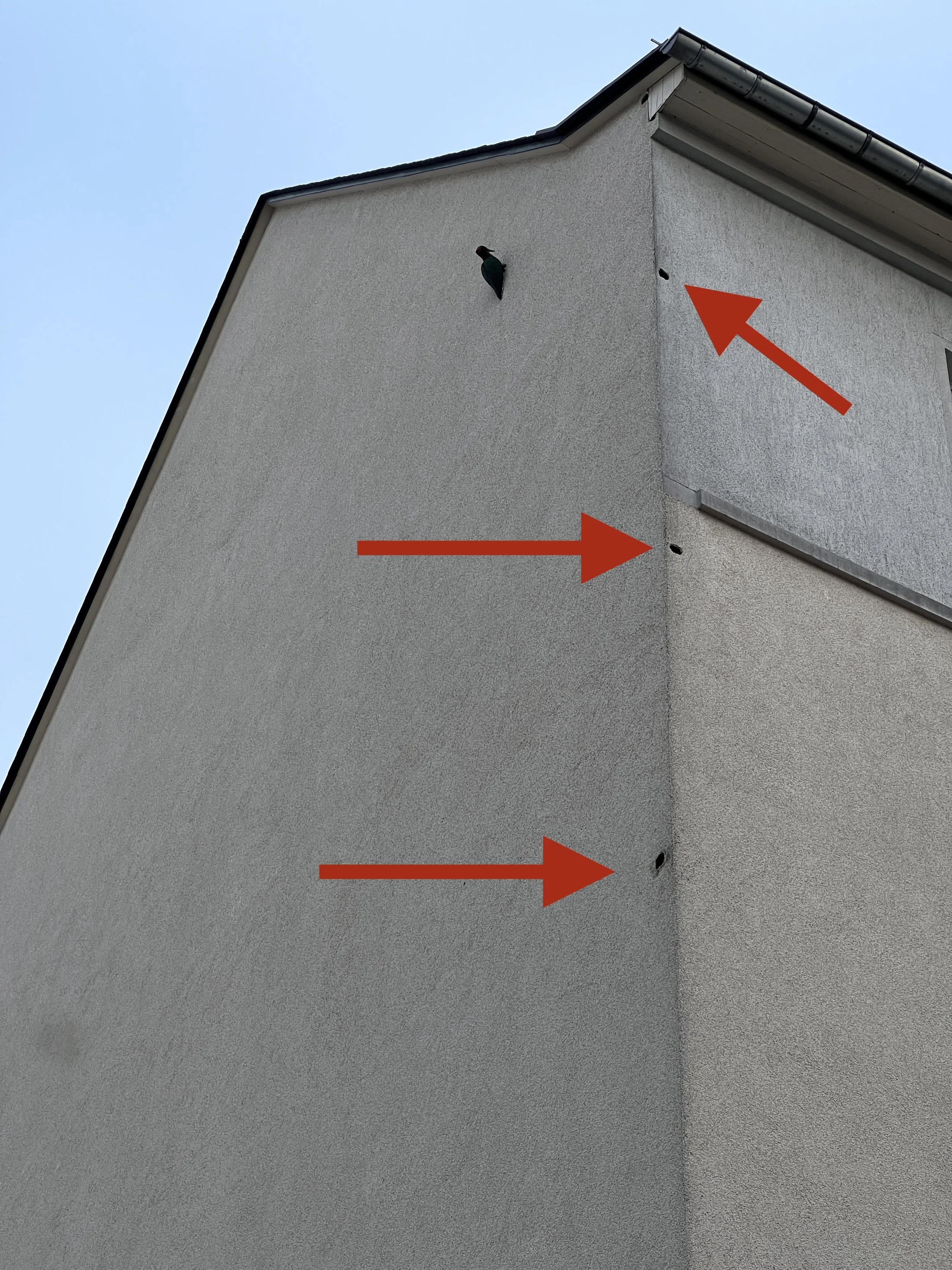 Spechtlöcher Fassade | Entfernen | Kranarbeiten | Maler | Nordhausen | Landkreis Göttingen