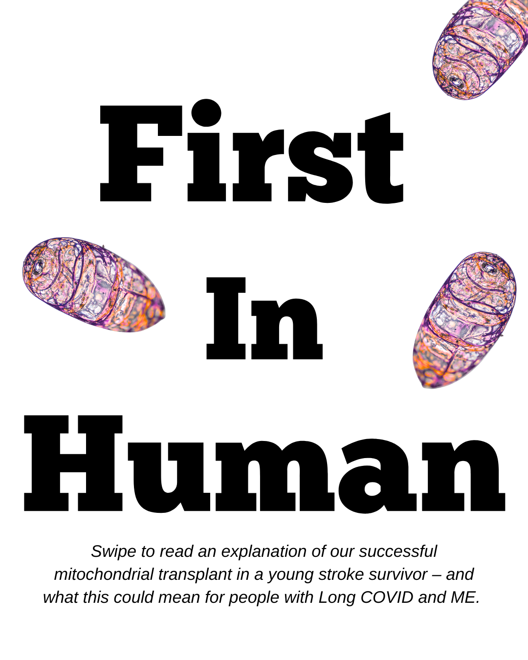 First-in-Human Mitochondrial Transplant! 