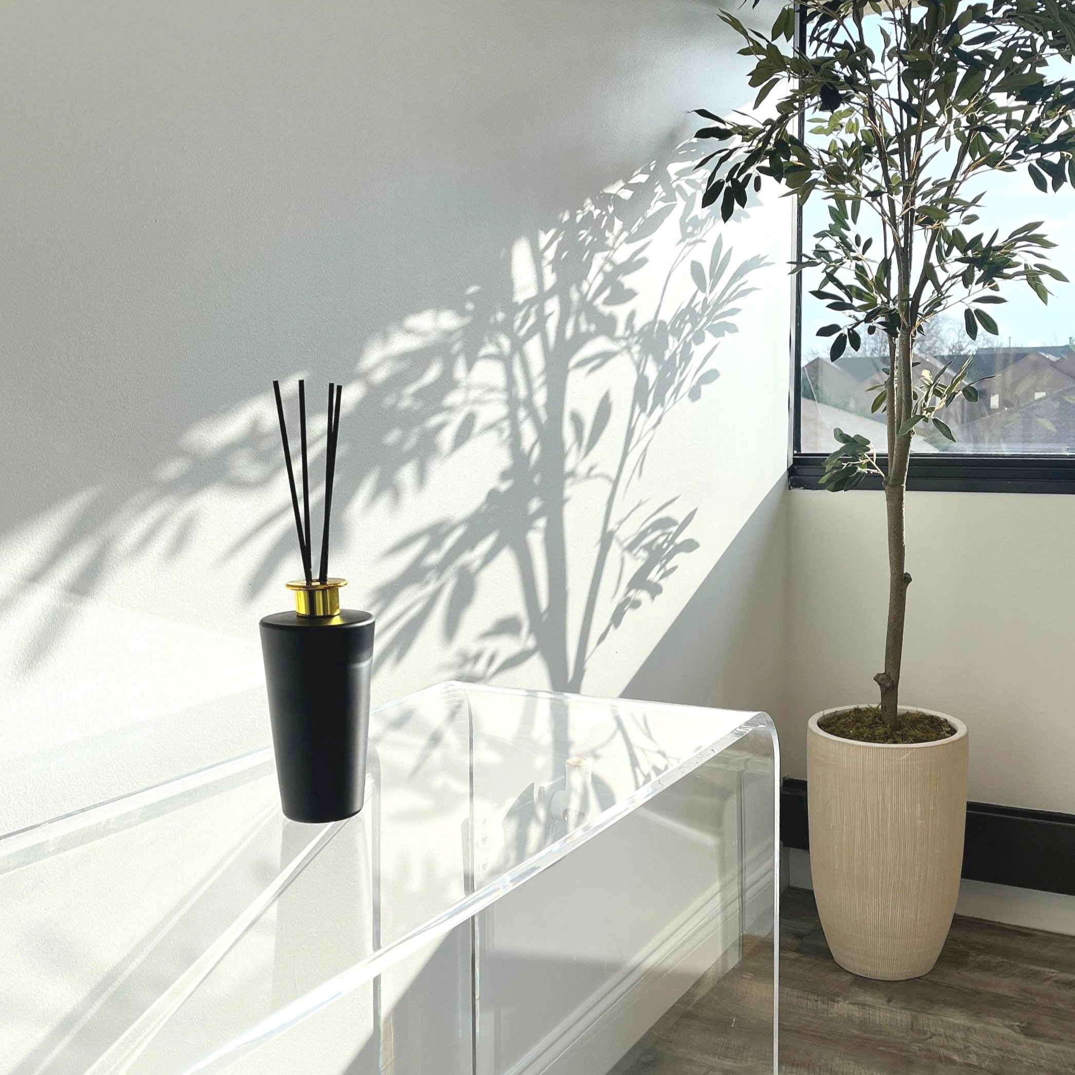 WhatsApp Image 2025-03-26 at 12.54.51 PM.jpg