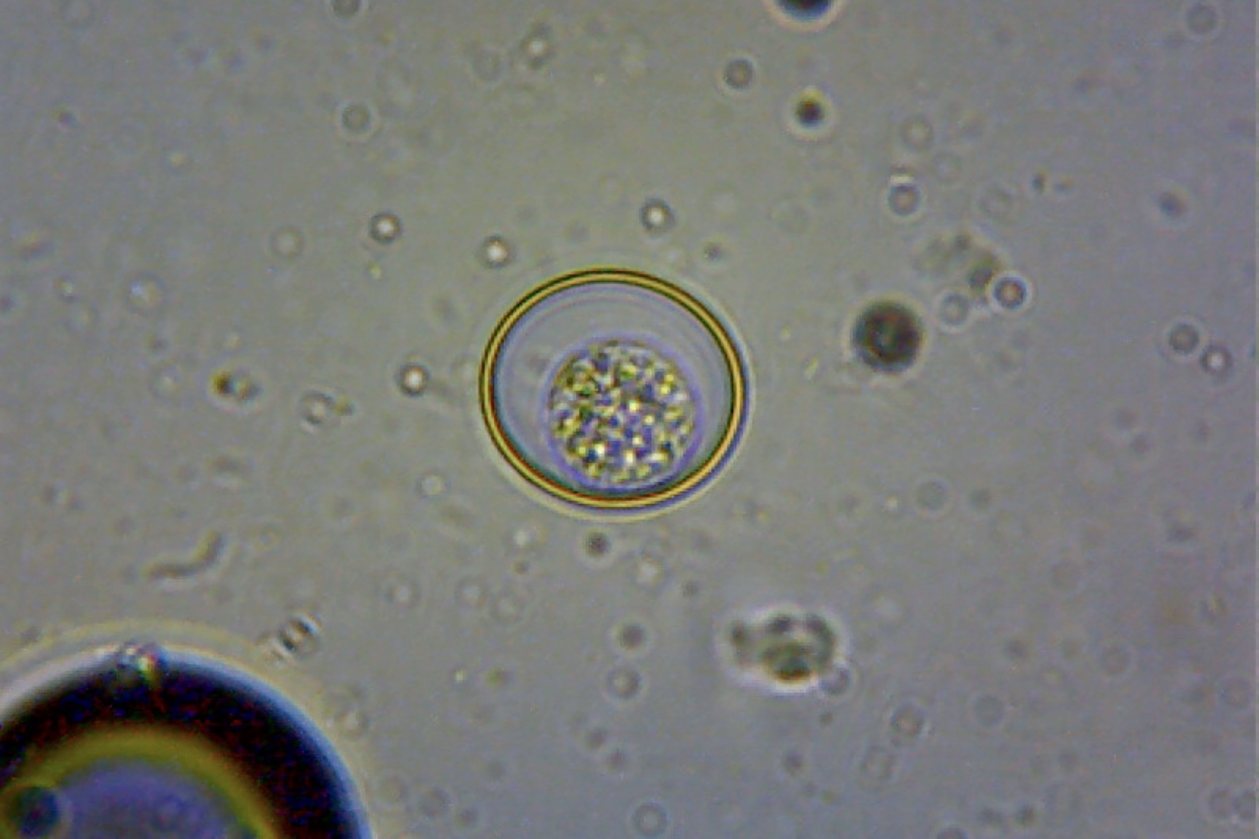 Photo on 3-1-25 at 2.33 PM #2.jpeg