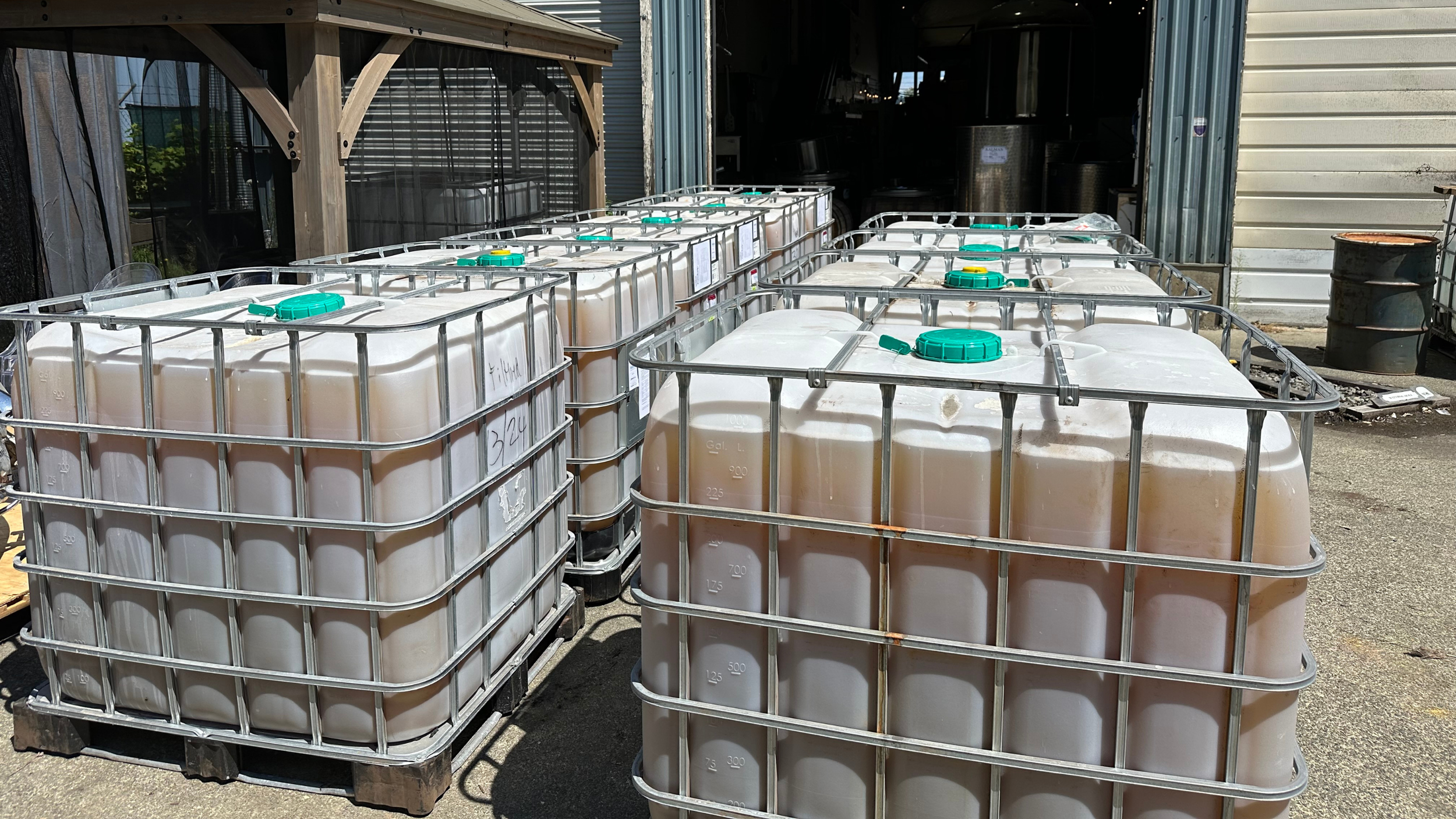 Place an order for liquid kelp extract from Cascadia Seaweed