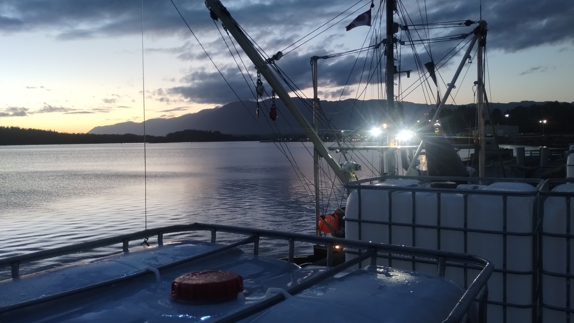Cascadia Seaweed Accelerates Expansion with First Series A Milestone