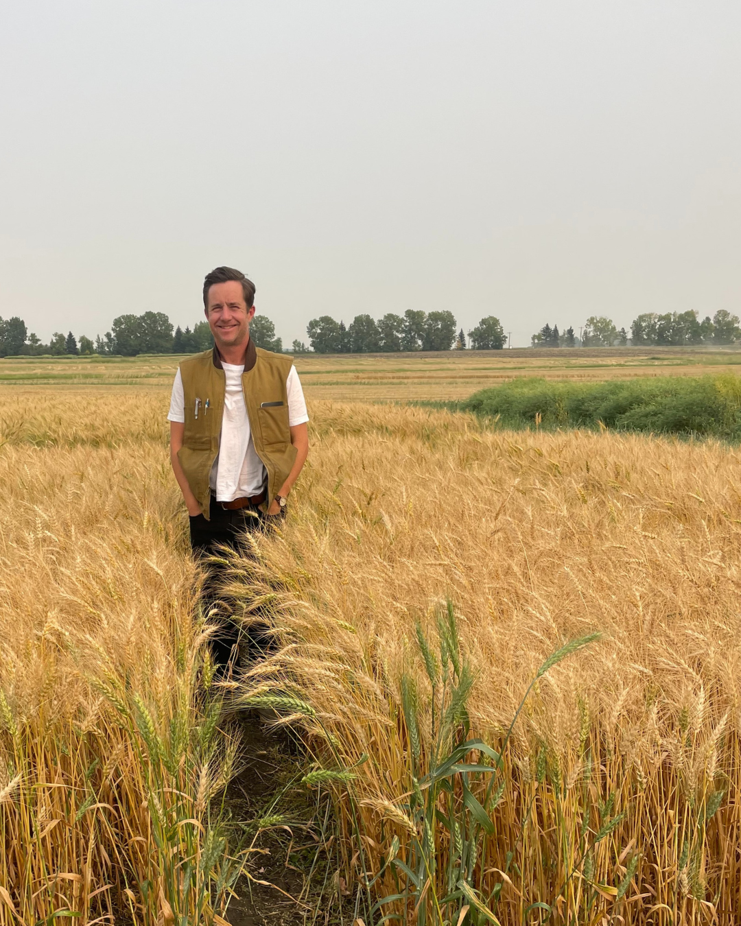 Innovation Approved: Cascadia Seaweed Brings Kelpivex to Canadian Farmers