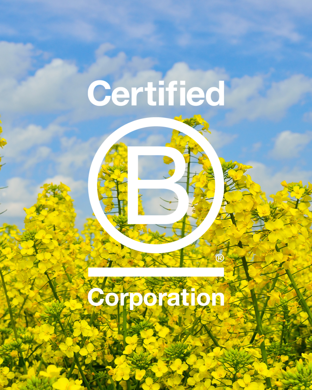 Cascadia Seaweed Achieves Higher B Corp Score, Reinforcing Commitment to Climate Action, Indigenous Partnerships, and Sustainable Agriculture