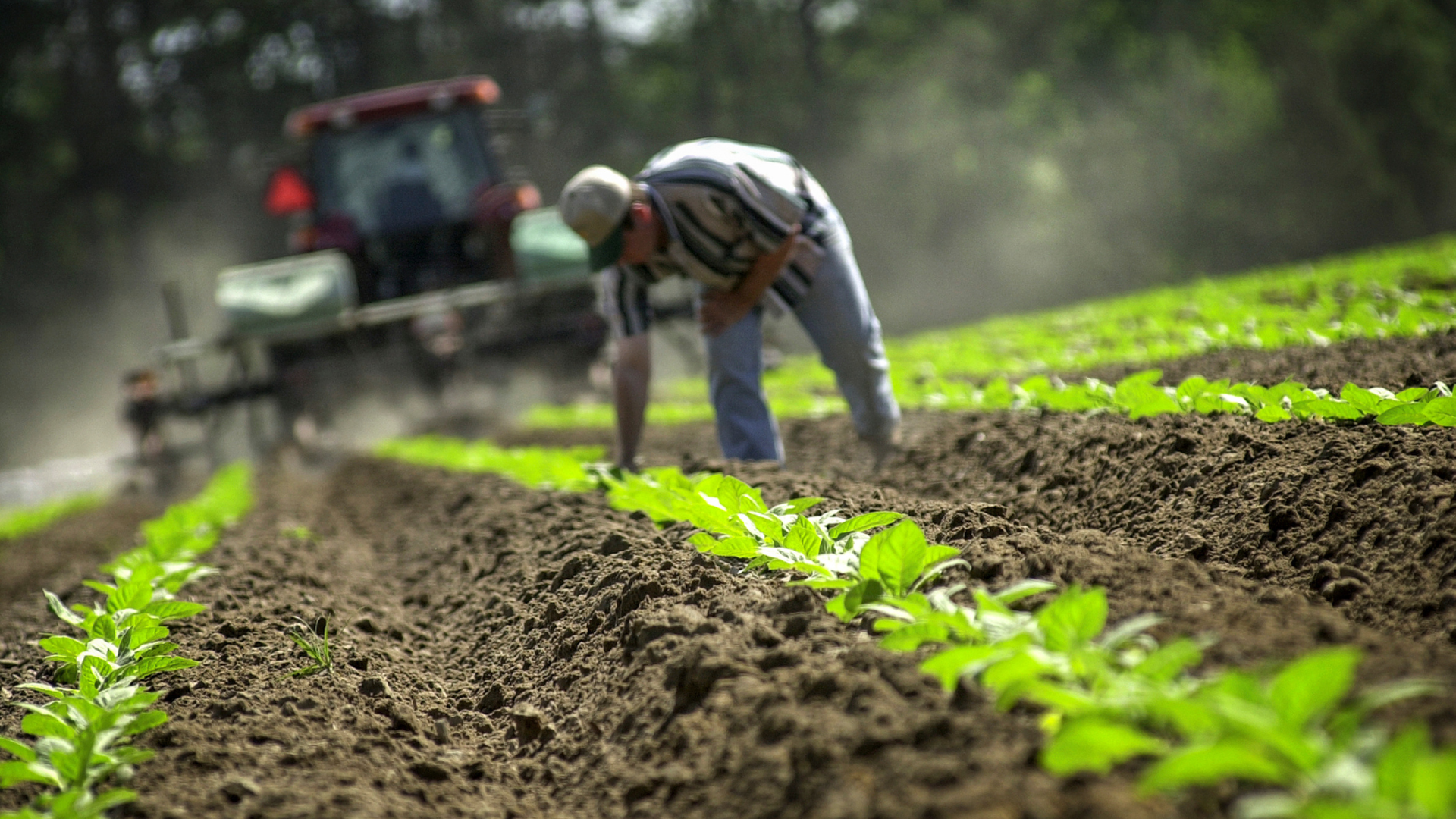 When Fertilizer Prices Rise, Efficiency Matters.