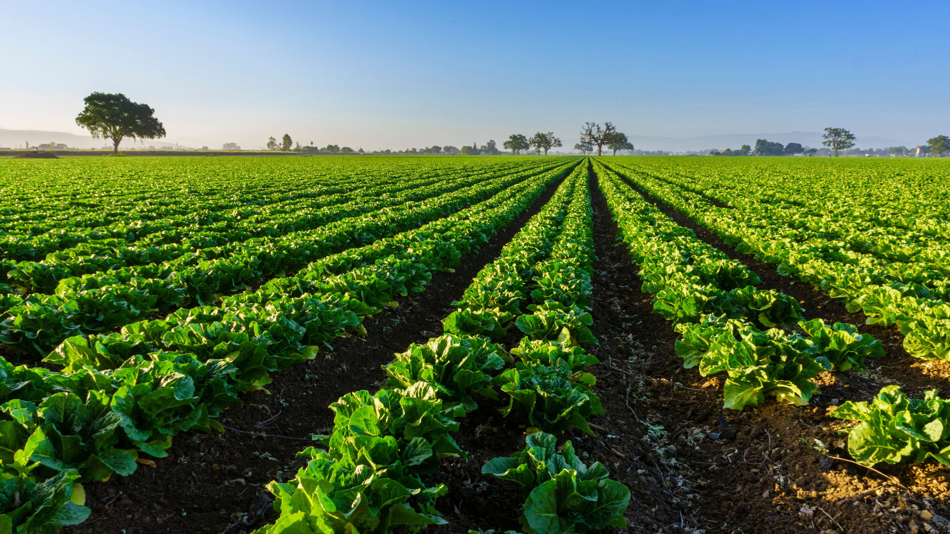 Powered by the Sea. Proven on the Farm.