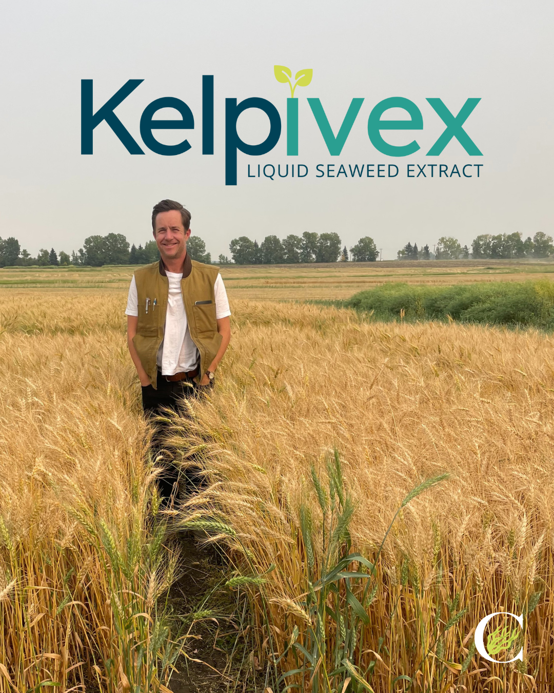 Kelpivex Cascadia Seaweed Liquid Seaweed Extract Canada