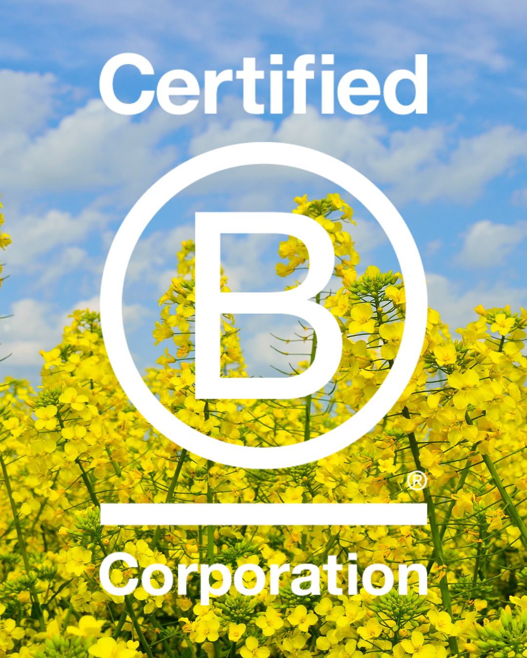Cascadia Seaweed B Corp Re-certified 2025