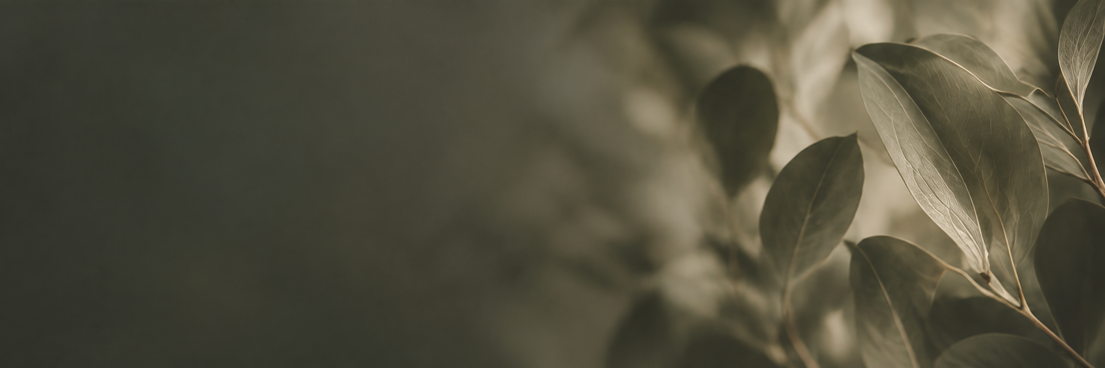 FigLeaf_Banner.png