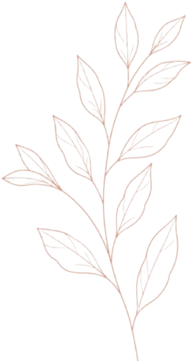Sprig Vector