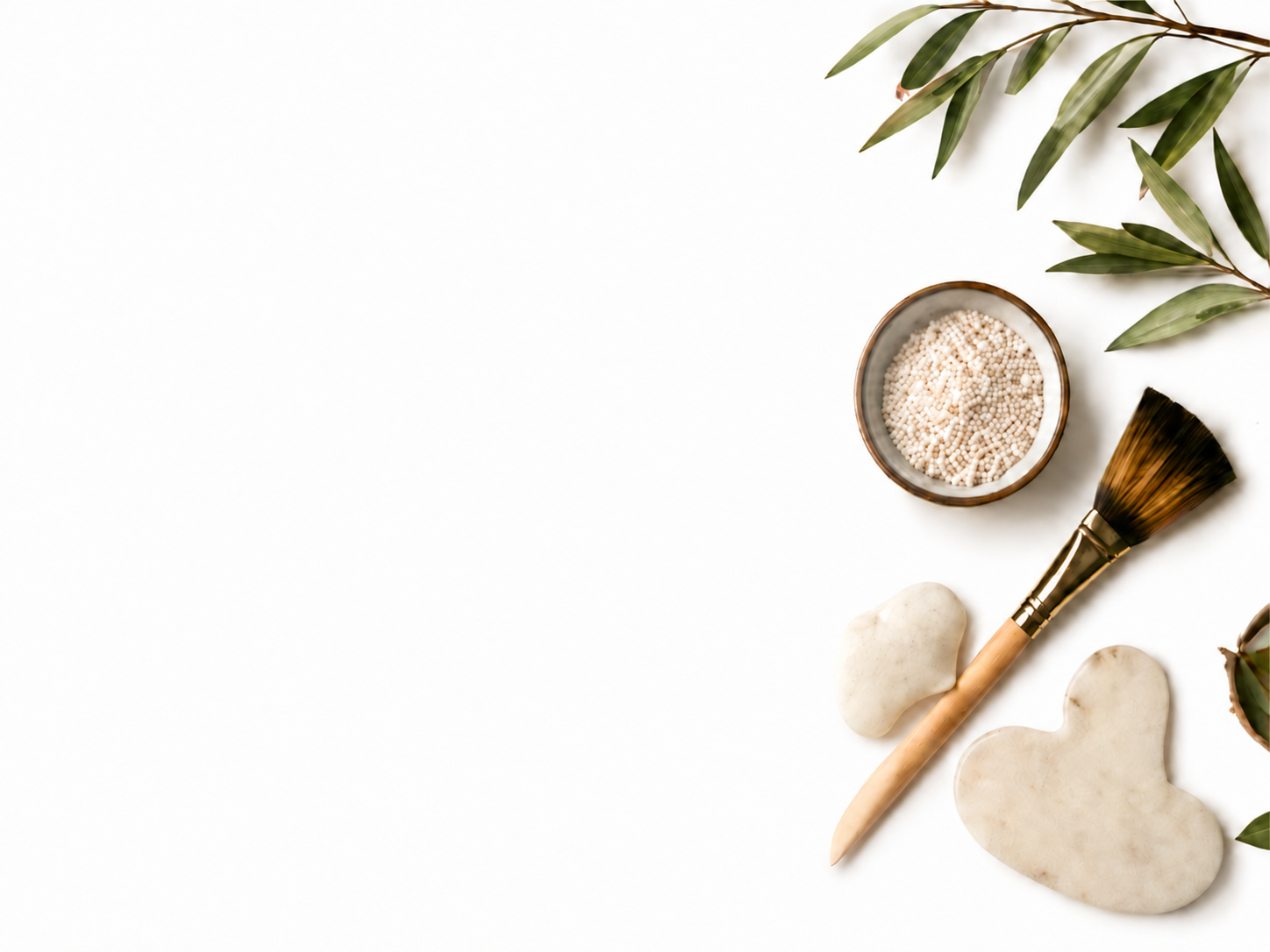 A flat lay of spa and wellness items on a white background, including a bowl of white porcupine tree seeds, a makeup brush, gua shas, and green leafy branches.