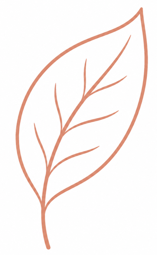 A minimalist line drawing of a leaf with a brown outline and internal veins, on a white background.