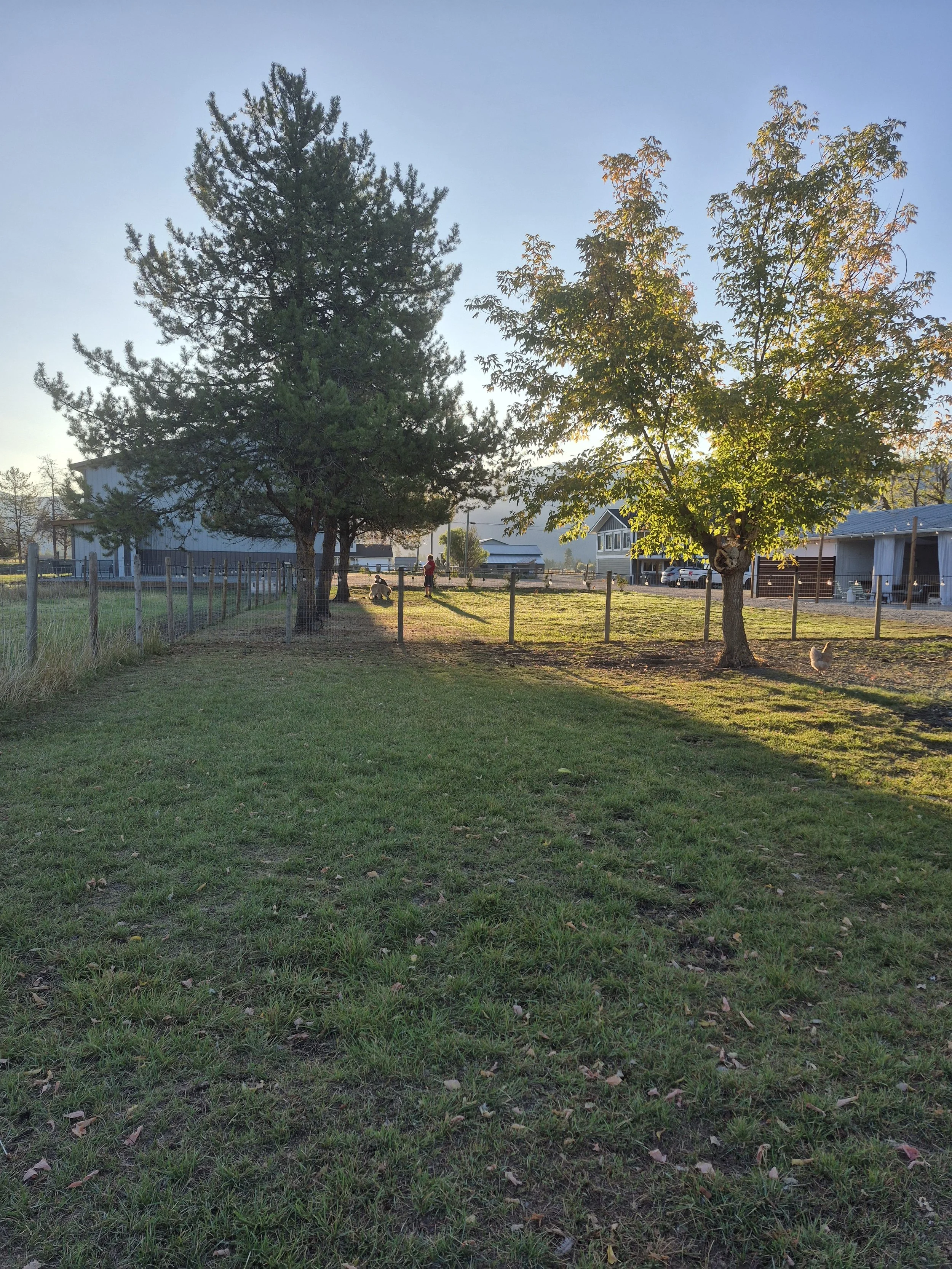 20260911_071302.jpg