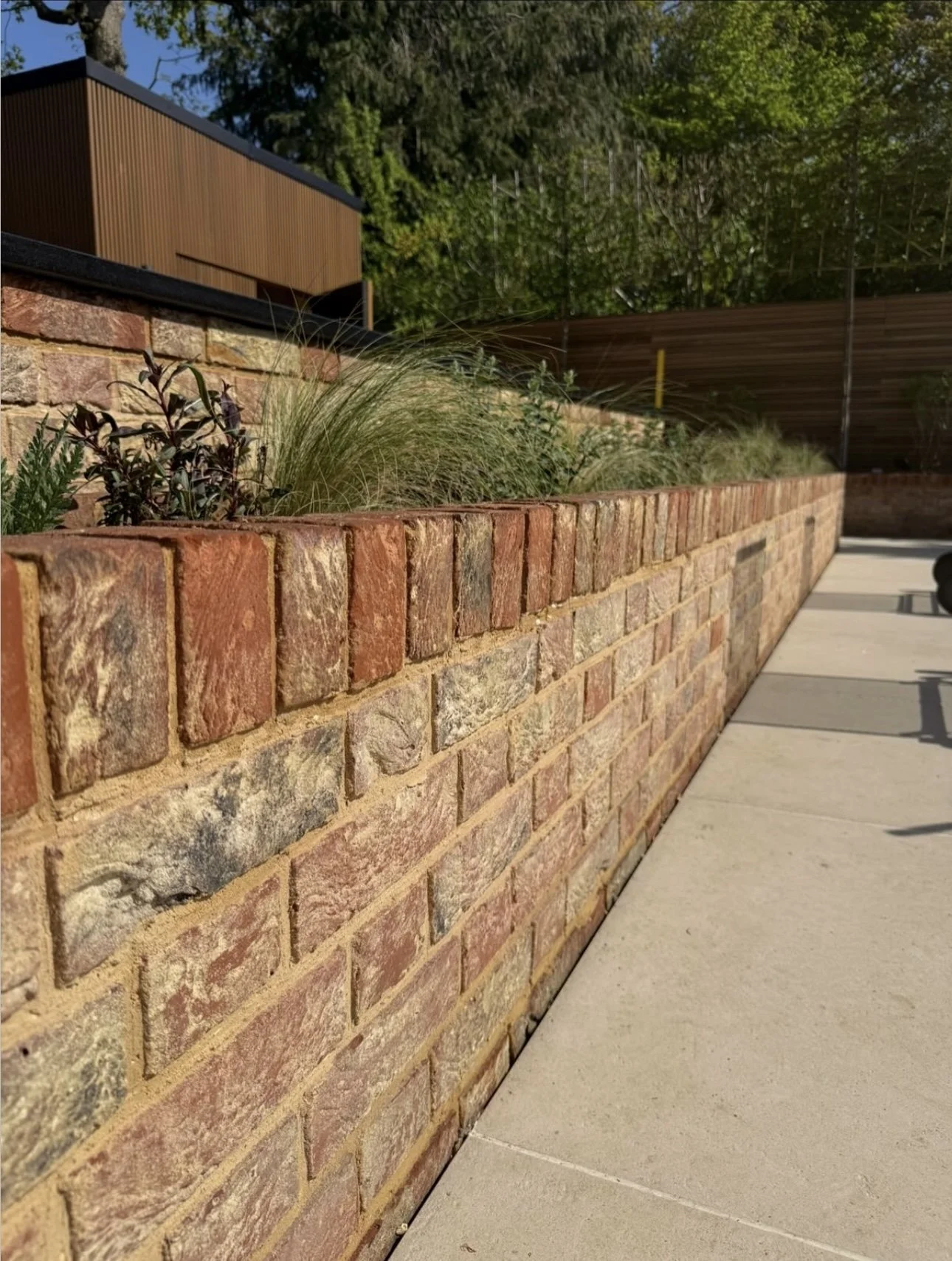 Layered planting of ornamental grasses and flowering perennials in Winchmore Hill garden