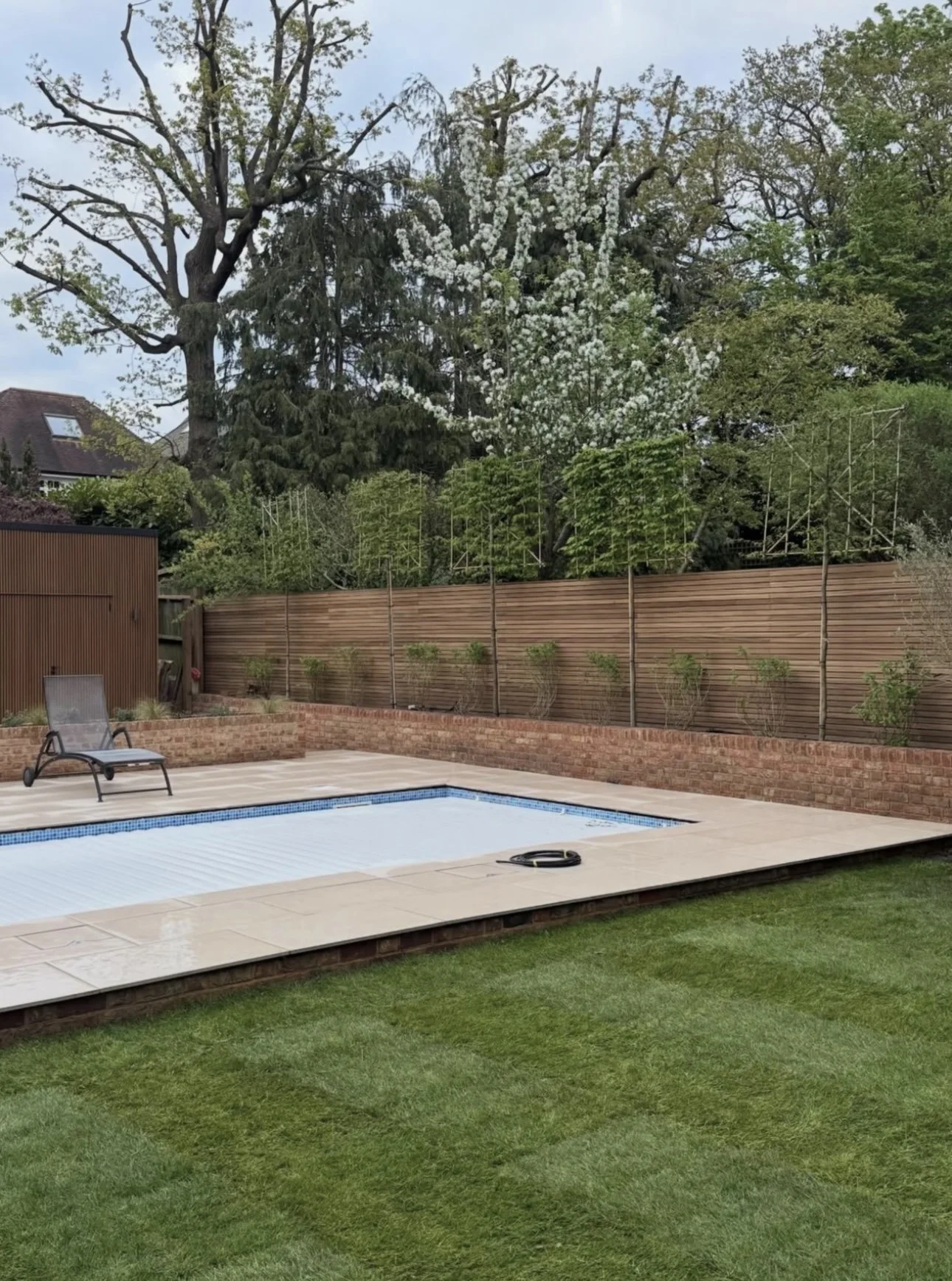 Winchmore Hill garden with pleached trees, lawn, and swimming pool