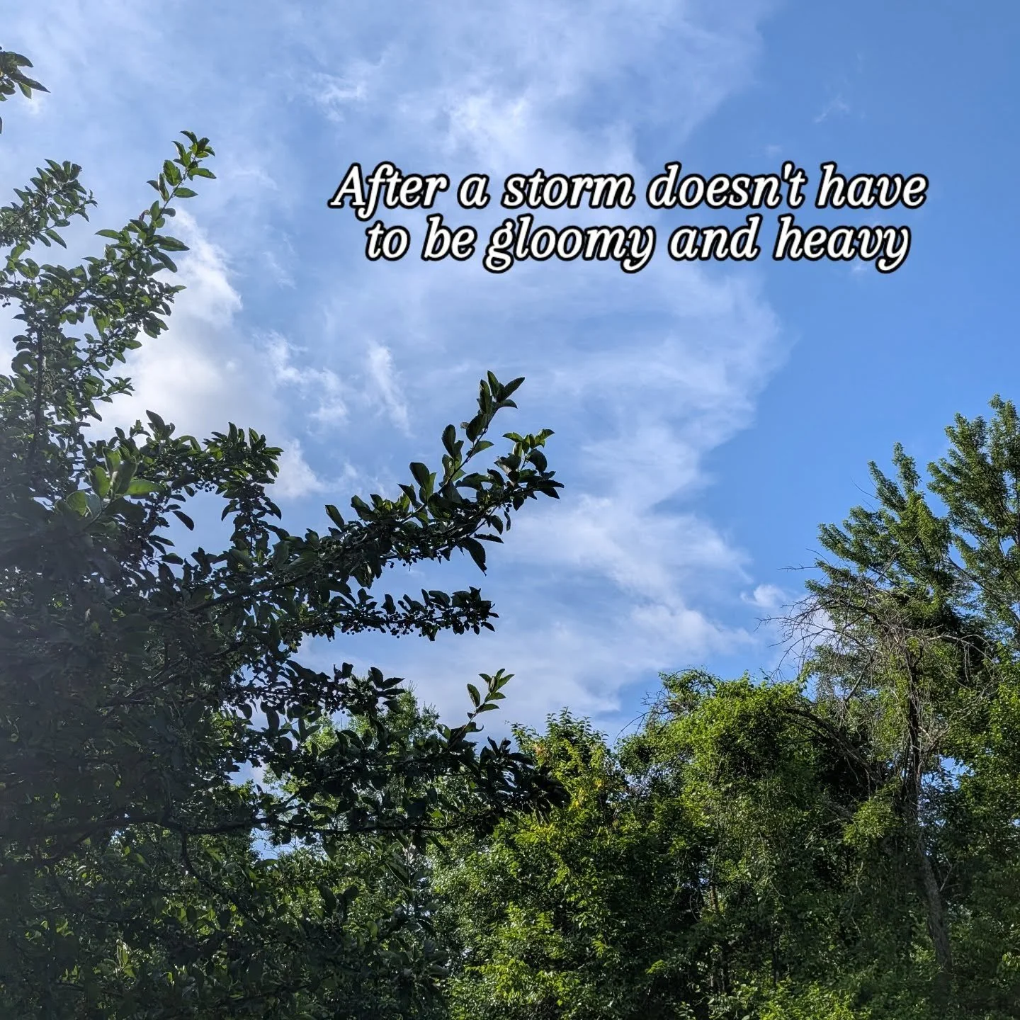There was a storm last night, but you wouldn't know it this morning. Often a big reason for avoiding conflicts is fear about being stuck in a conflict, or that they won't be able to move through it. Often couples work is about learning how to move th