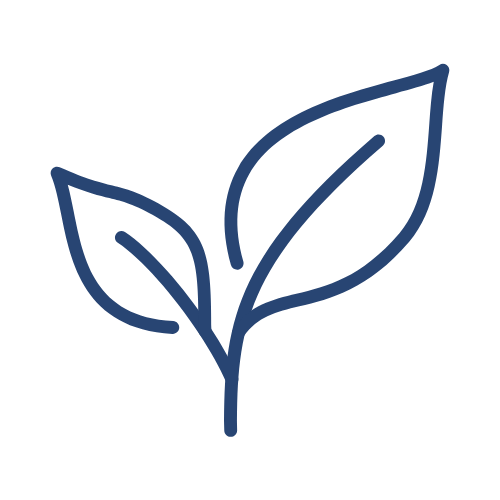 Leaf representing new clients looking for fresh start