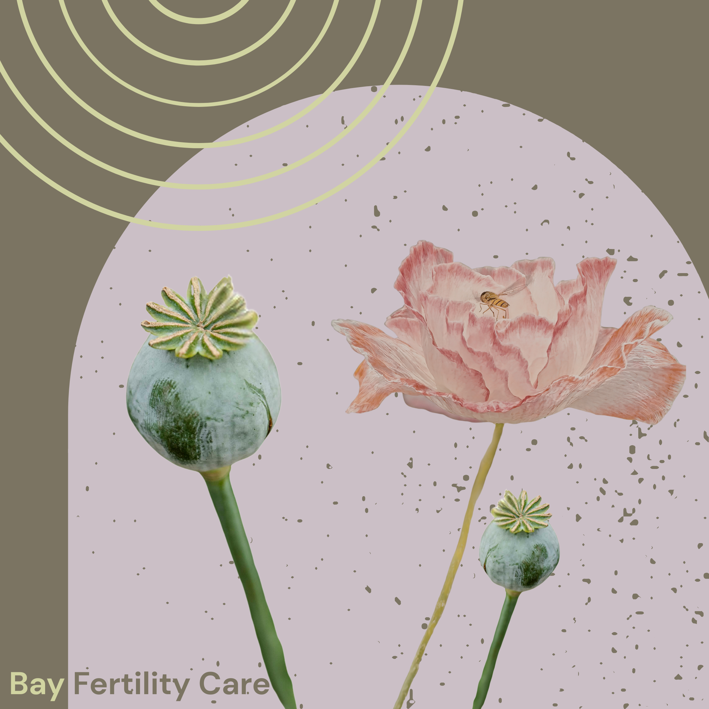 Home IUI with a Midwife: How it Works