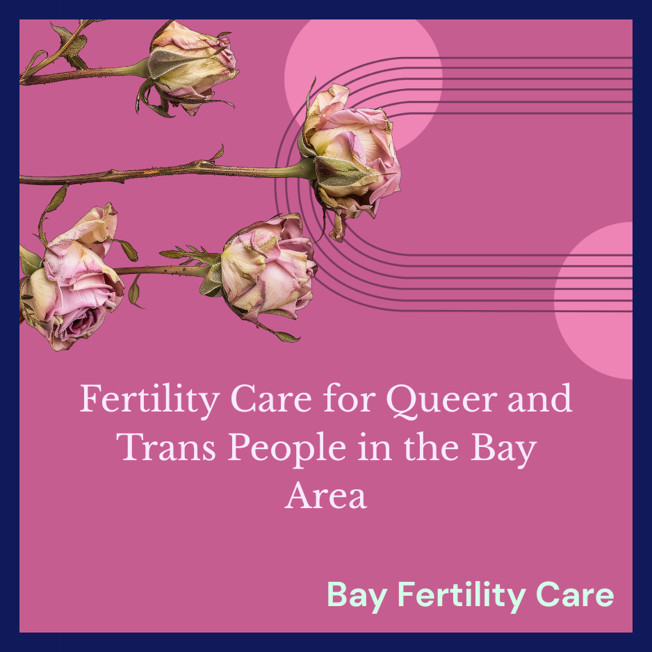 Fertility Care for Queer People in the Bay Area