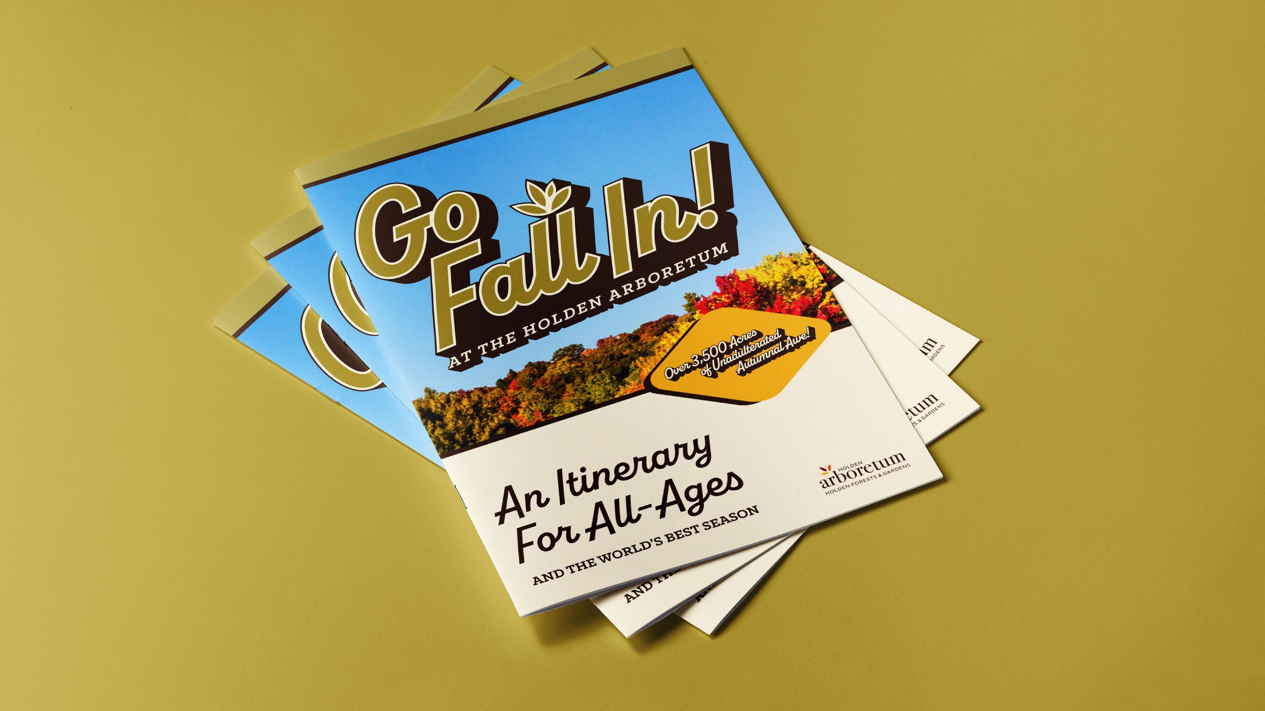 GoFallIn_ProjectFeature_Artboard 10 copy 4.jpg