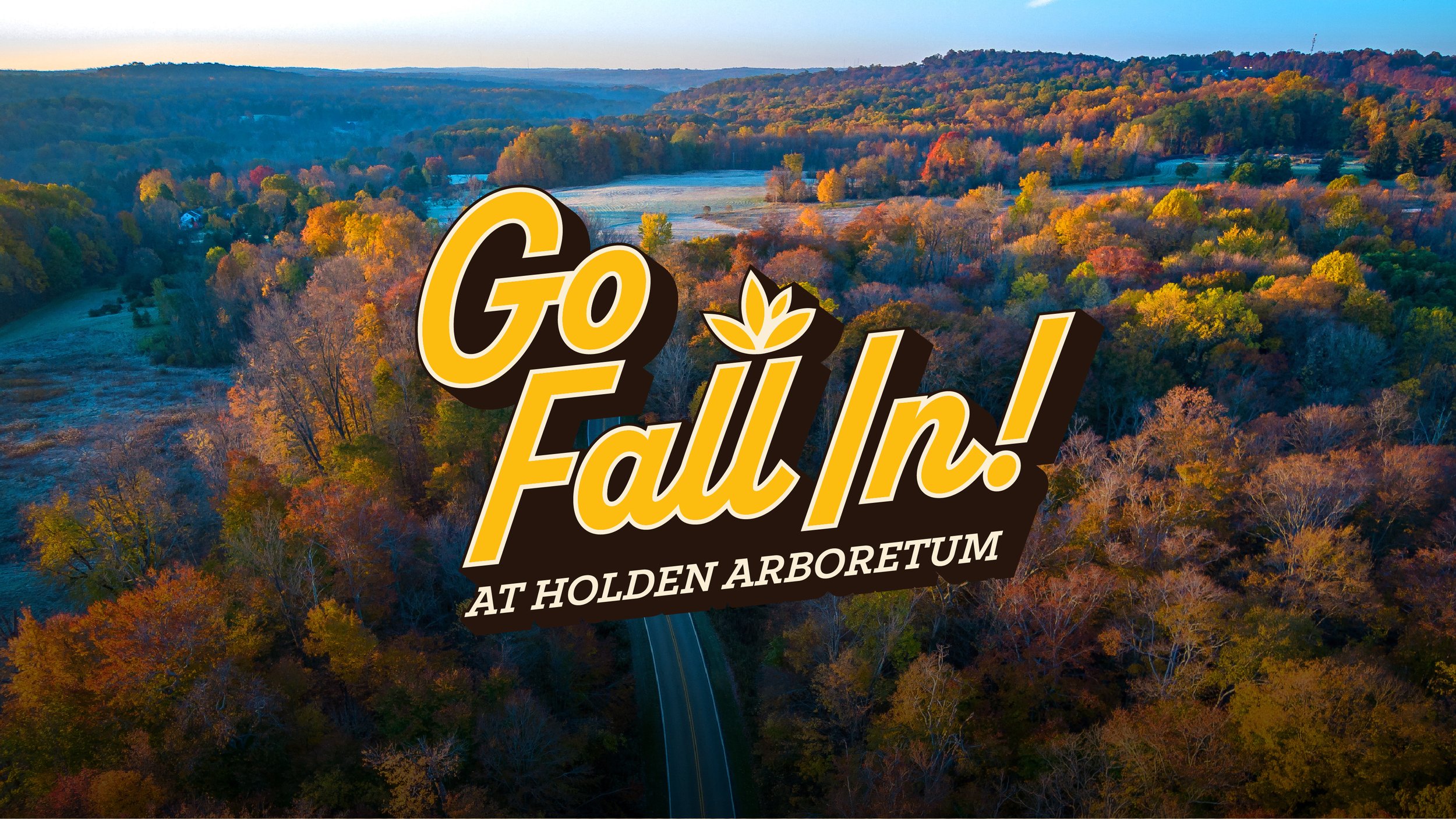 Artboard 1 copy 4.jpg