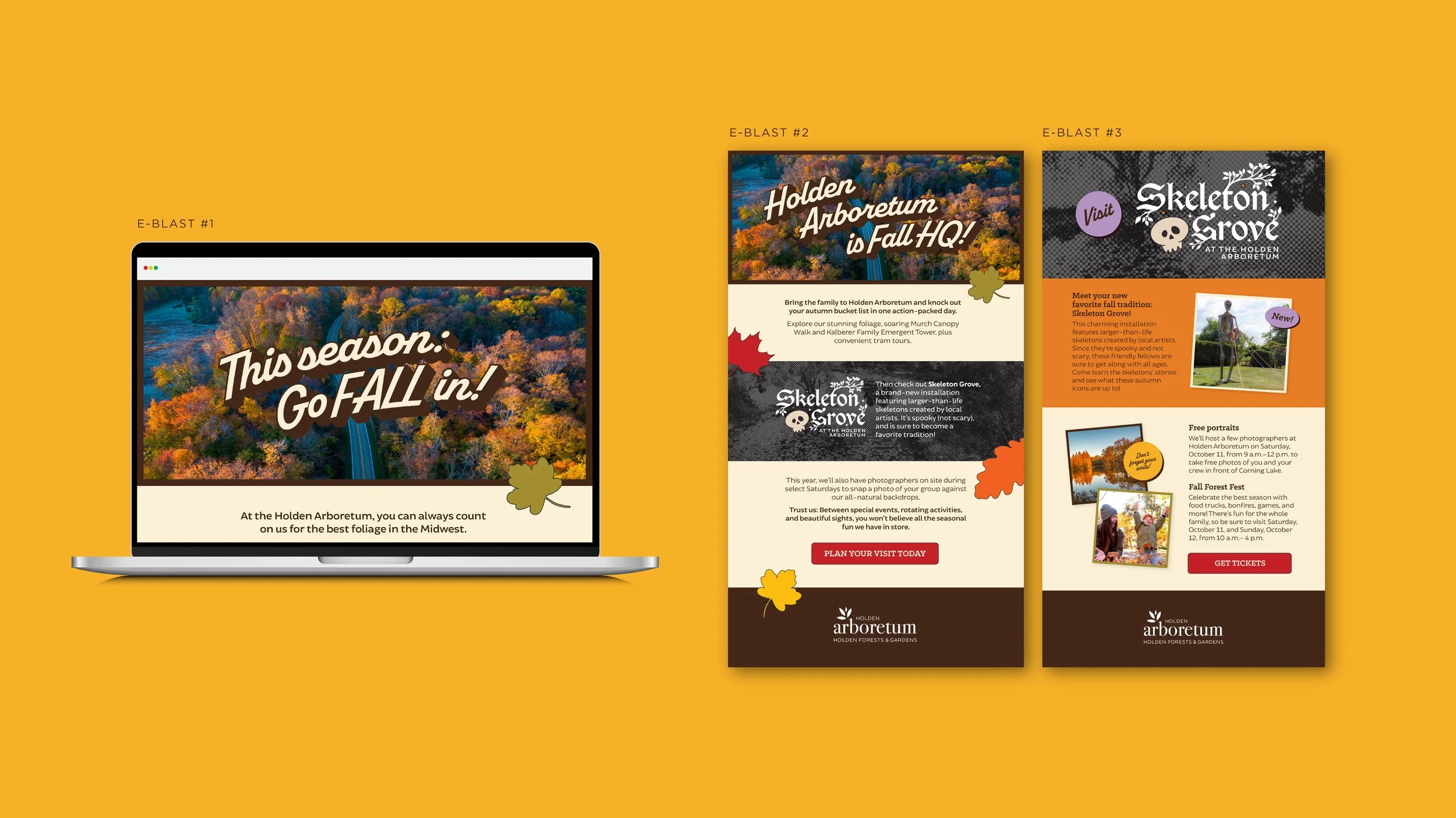 GoFallIn_ProjectFeature_Artboard 10 copy 3.jpg