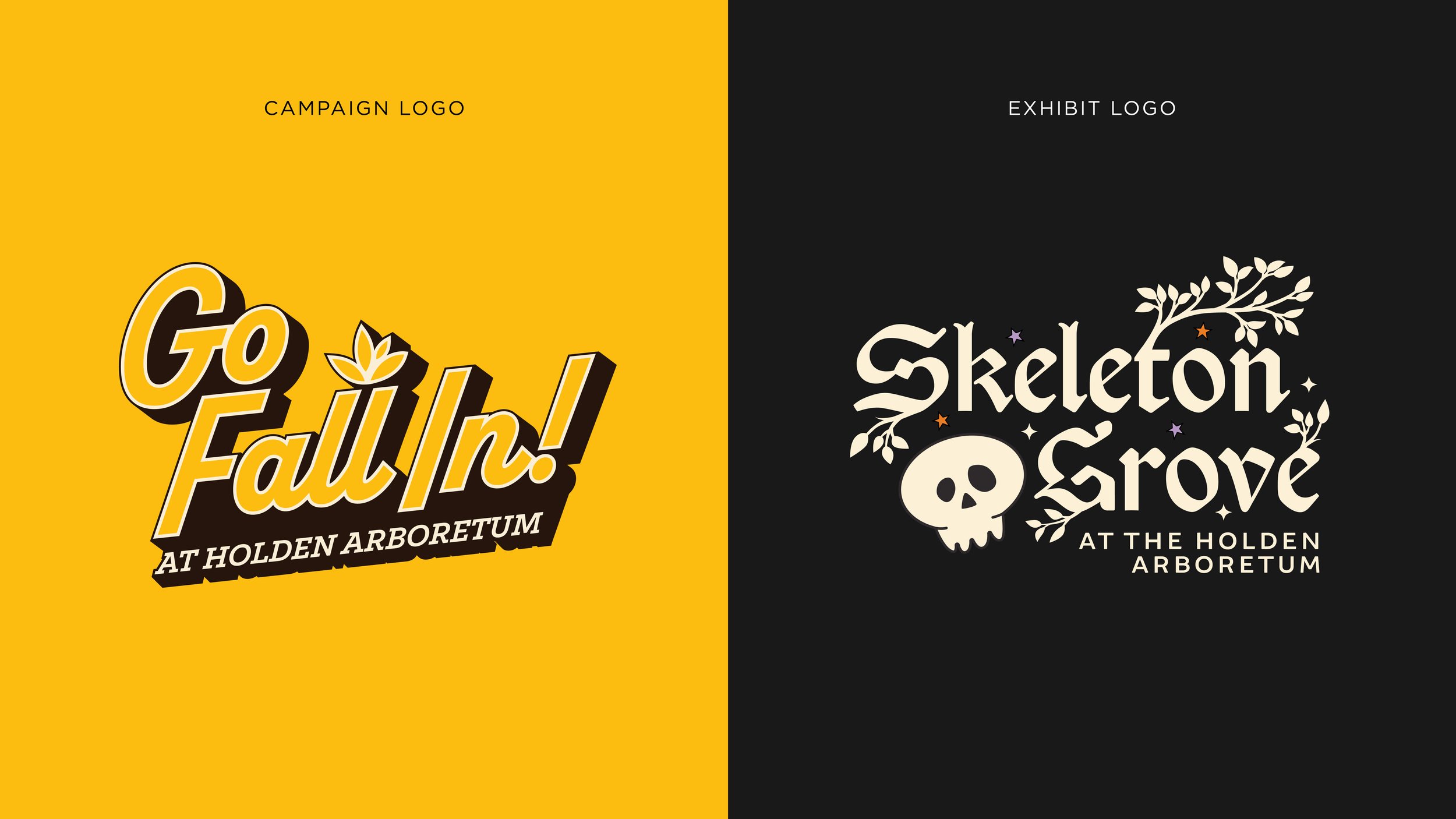 GoFallIn_ProjectFeature_Artboard 10.jpg