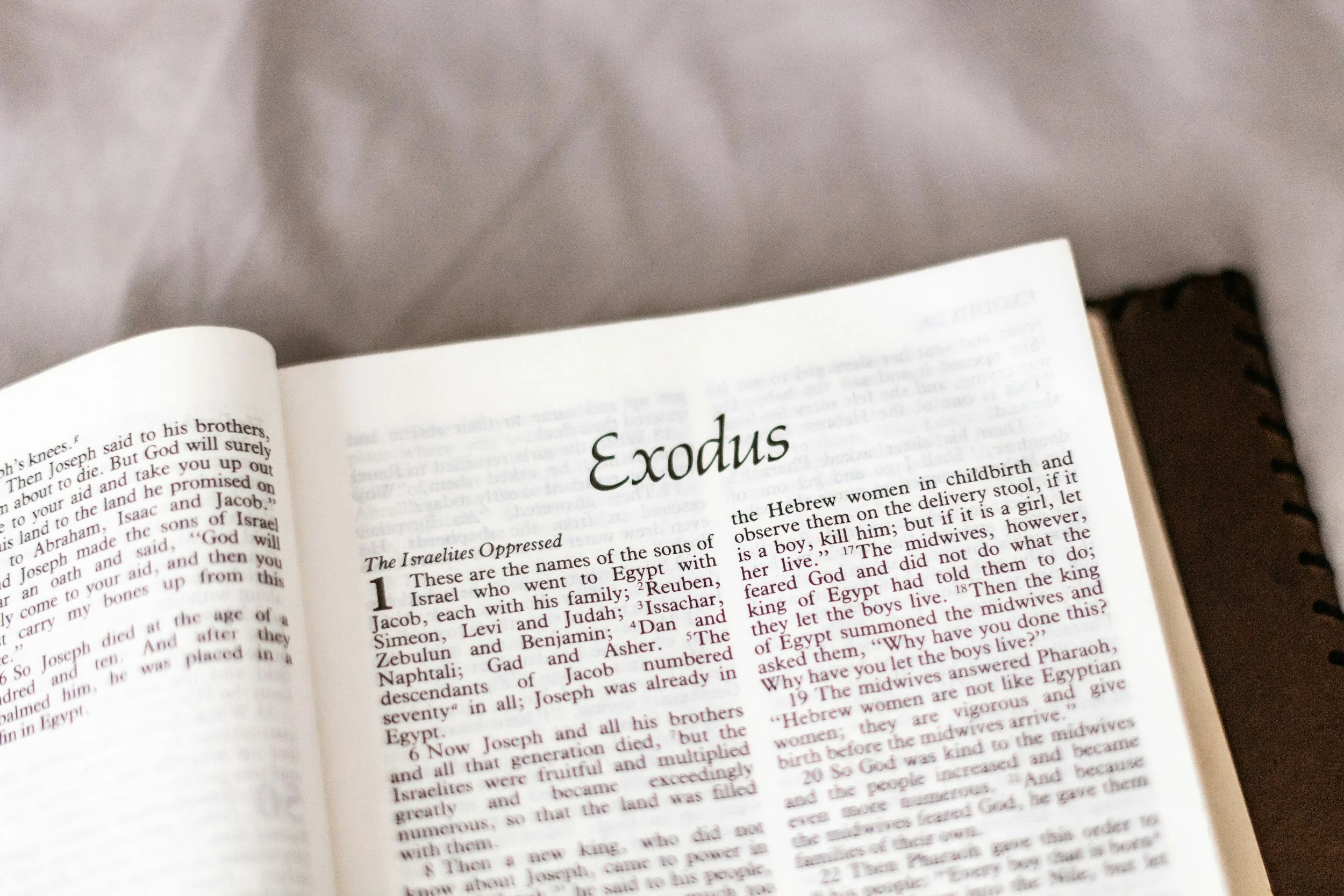 Sermon Series: The Gospel in Exodus (Foreshadowing Christ)