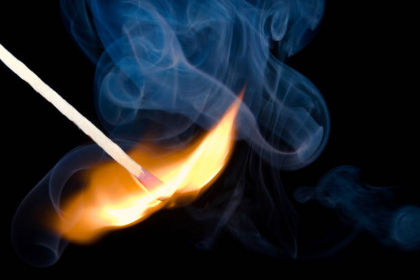 LIT- Leadership In Training