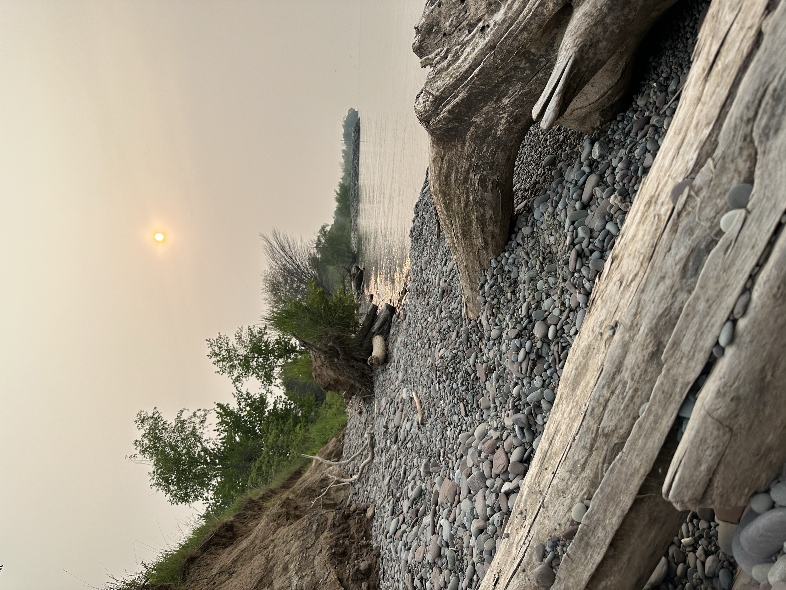 Scene 2 of Reflection
