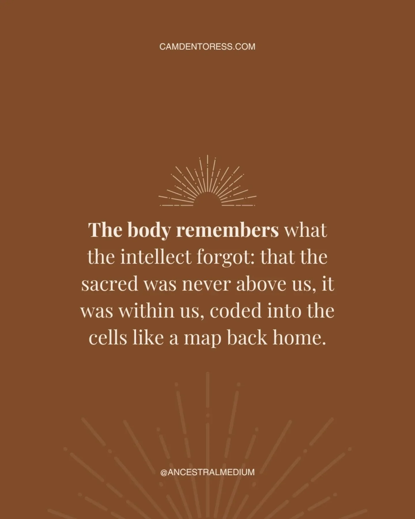 Somewhere along the way, the sacred became systemized. Healing turned into a checklist, a ladder to climb, a race to become whole. 

The deeper I walk with women through their thresholds, the clearer it becomes - the body was never asking to be perfe