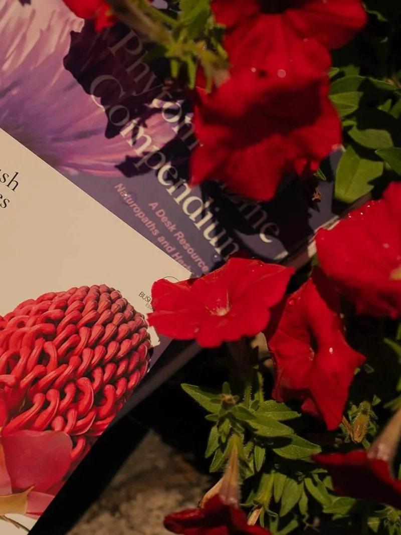 Perimenopause & Menopause Webinar