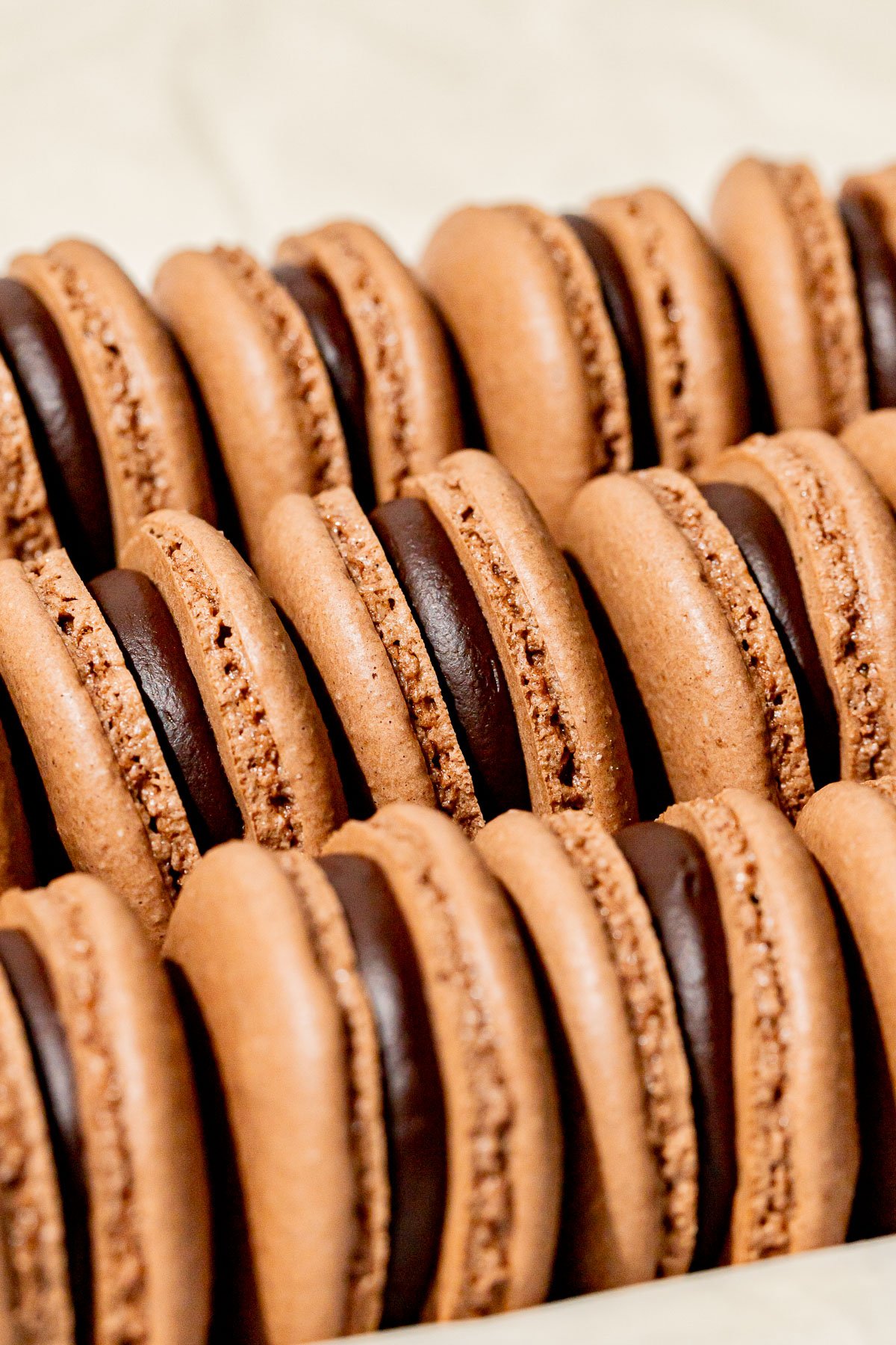 chocolate macarons2.jpg