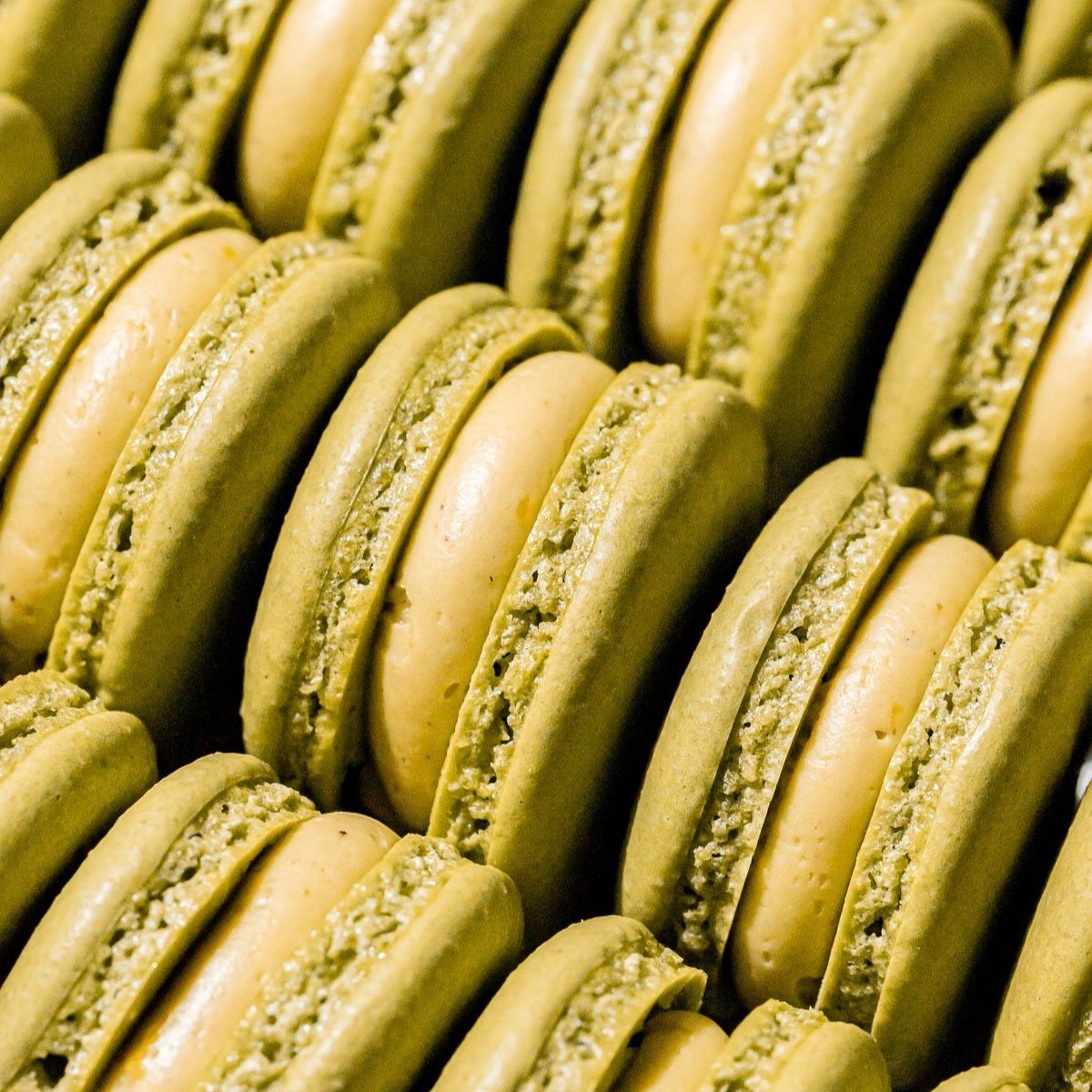 pistachio macarons2.jpg