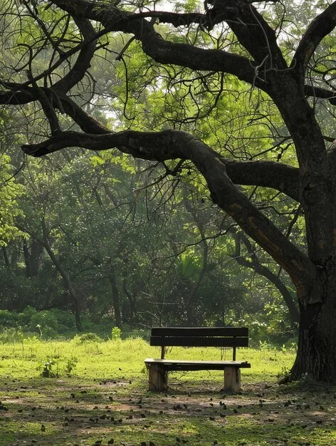 Before the Fireworks…Pause.