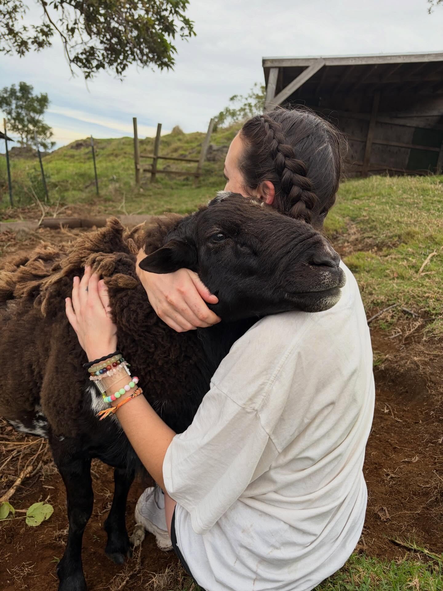 Happy holidays everyone!!! Everyone deserves a hug from big balls this year.