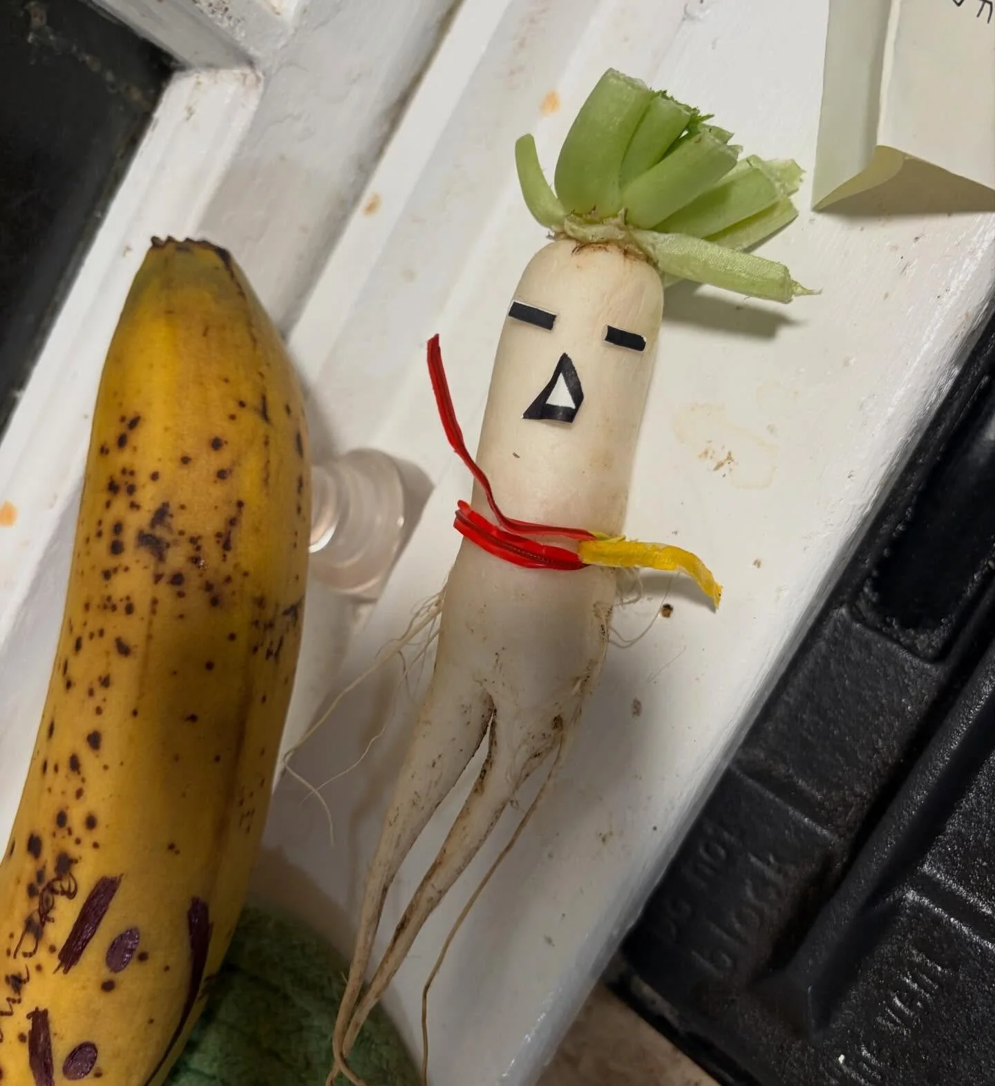 Happy January!!!! The farm is thriving!! You can tell by all these vegetable and fruit creatures Gabriel made. They whisper secrets of the garden 🤫. Happy new year everyone! Hope the first month of 2026 has set off in a good direction!