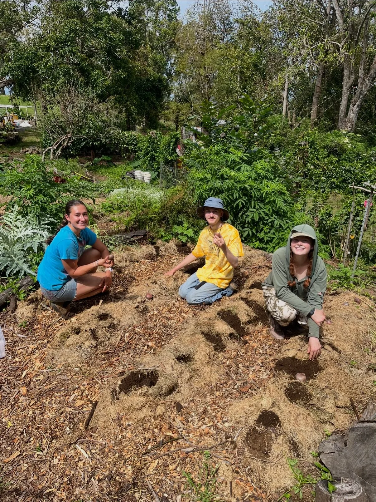 LOOOK ATTT THESE BEAUTIFUL PEOPLE AND CREATURES 🧑&zwj;🌾🐐🐏