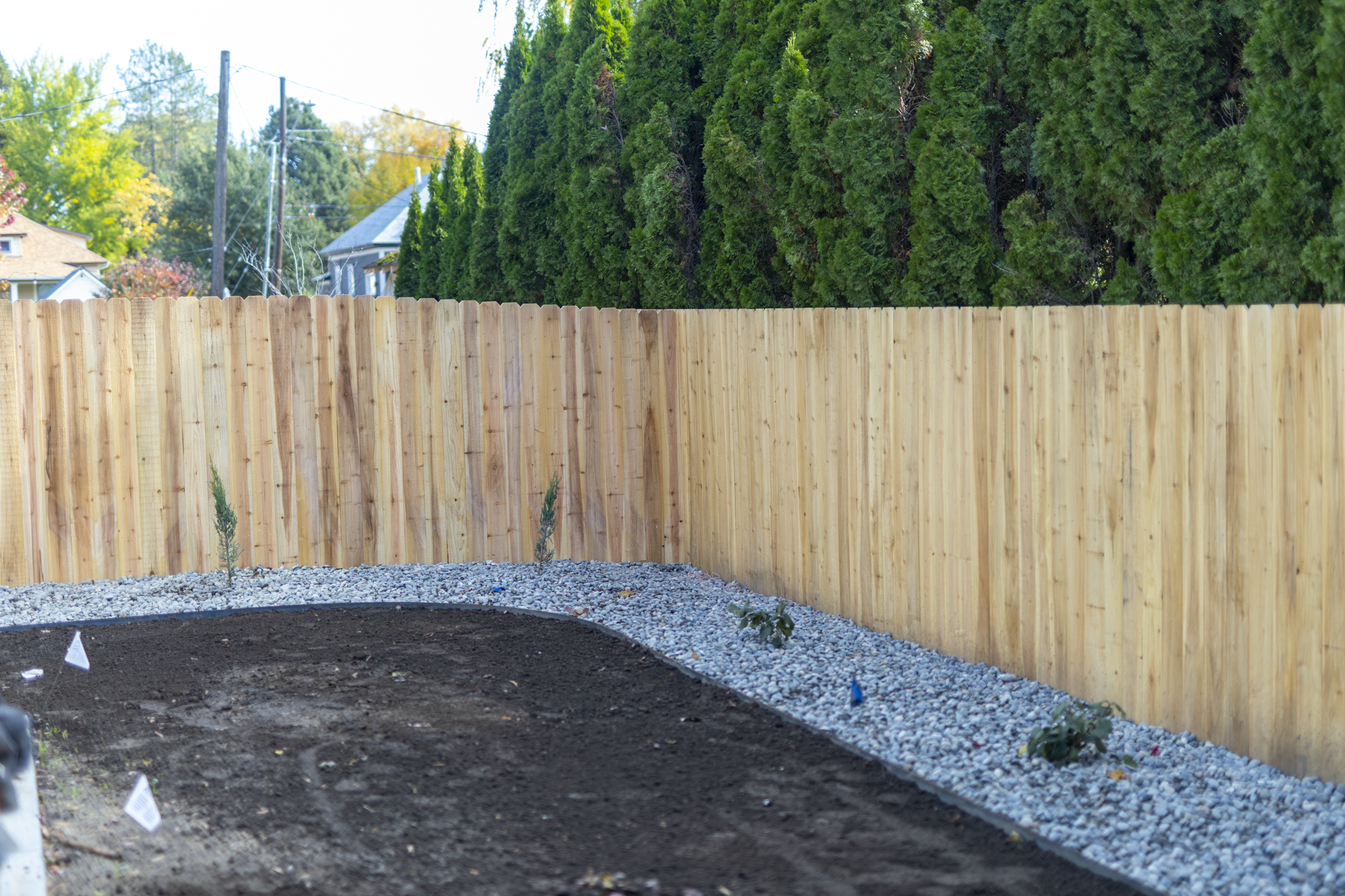 Newly installed wooden fence surrounds a landscaped yard with young plants and gravel, with large evergreen trees and residential houses in the background.