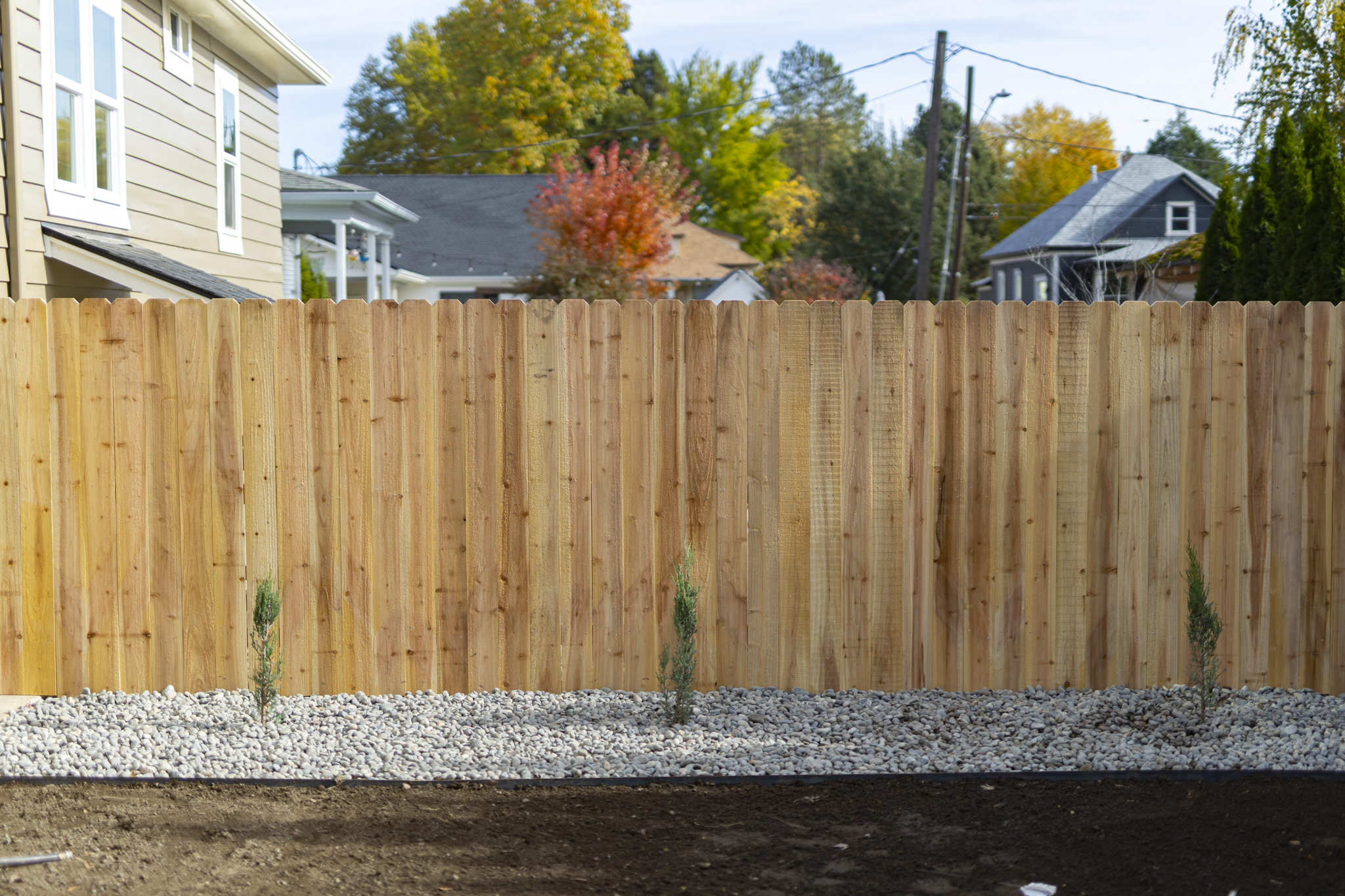 View of a backyard with a new wooden fence, small plants, and layered mulch, with houses and trees with autumn foliage in the background.