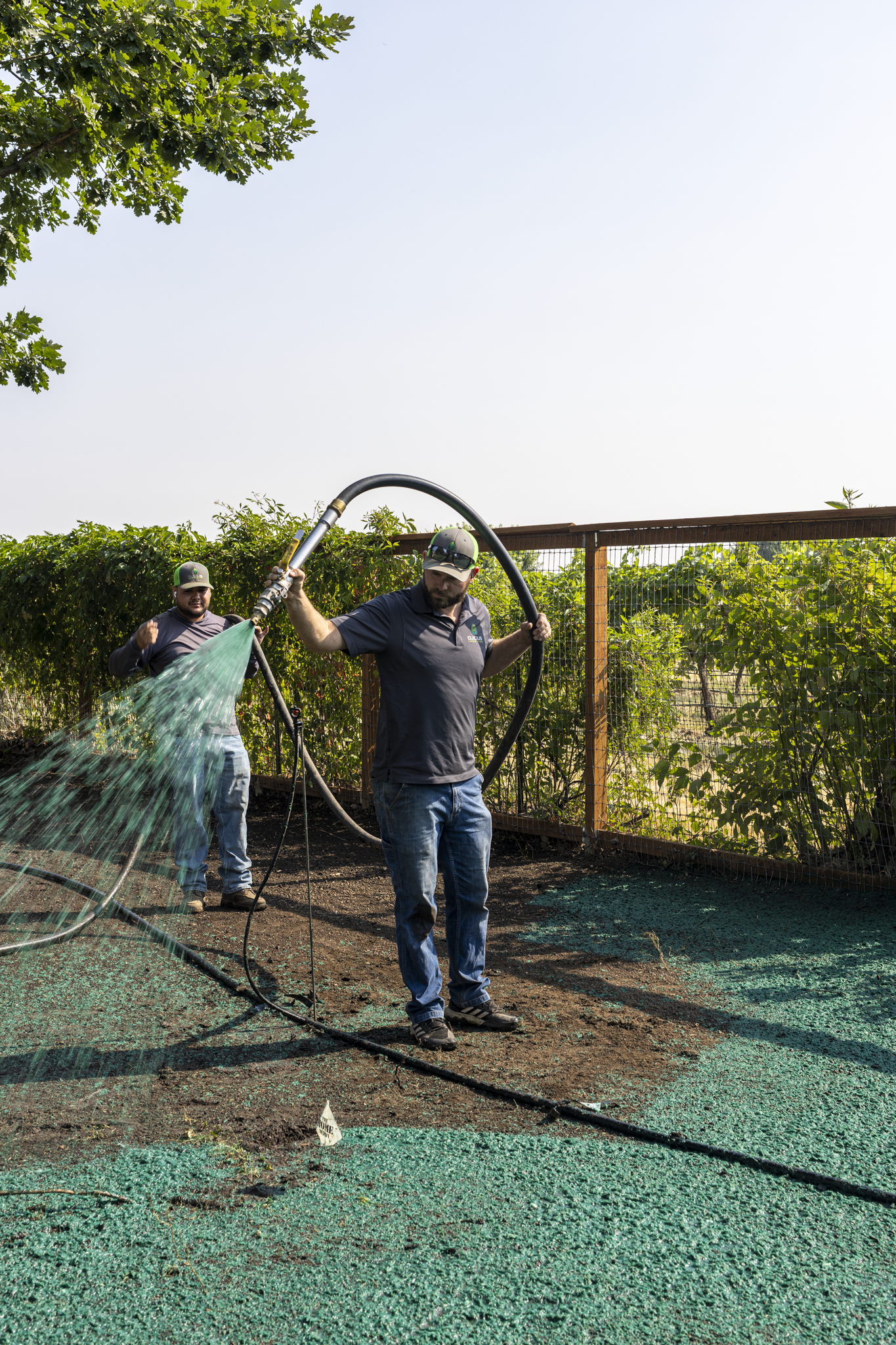 Two men working outdoors, watering a garden with a hose. One is standing and holding the hose, the other stands behind him. There is a fence with plants behind them, and tall trees on the left side of the image. The ground appears to be covered with 