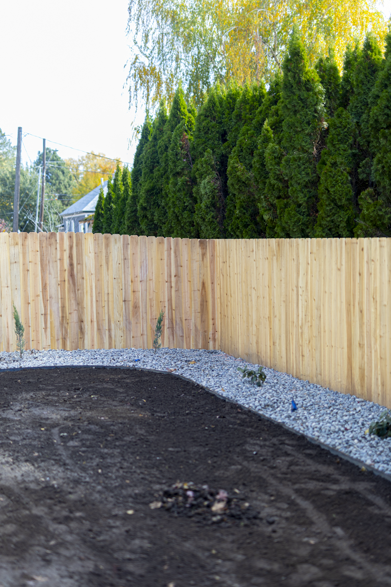 A backyard with a new wooden privacy fence, dark soil in the foreground, and tall green trees in the background.