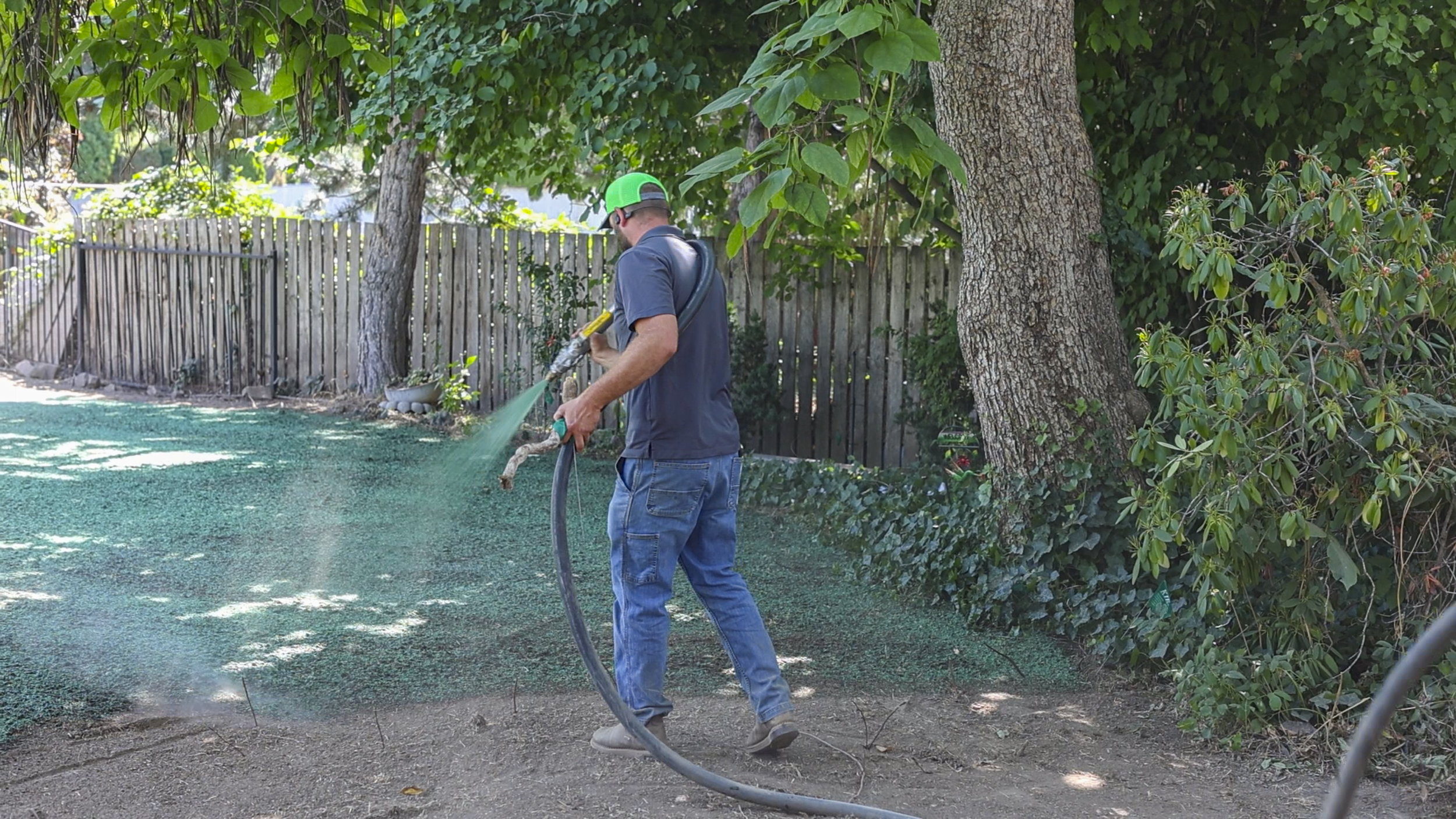 Still 2025-12-19 105126_1.111.5-2.png