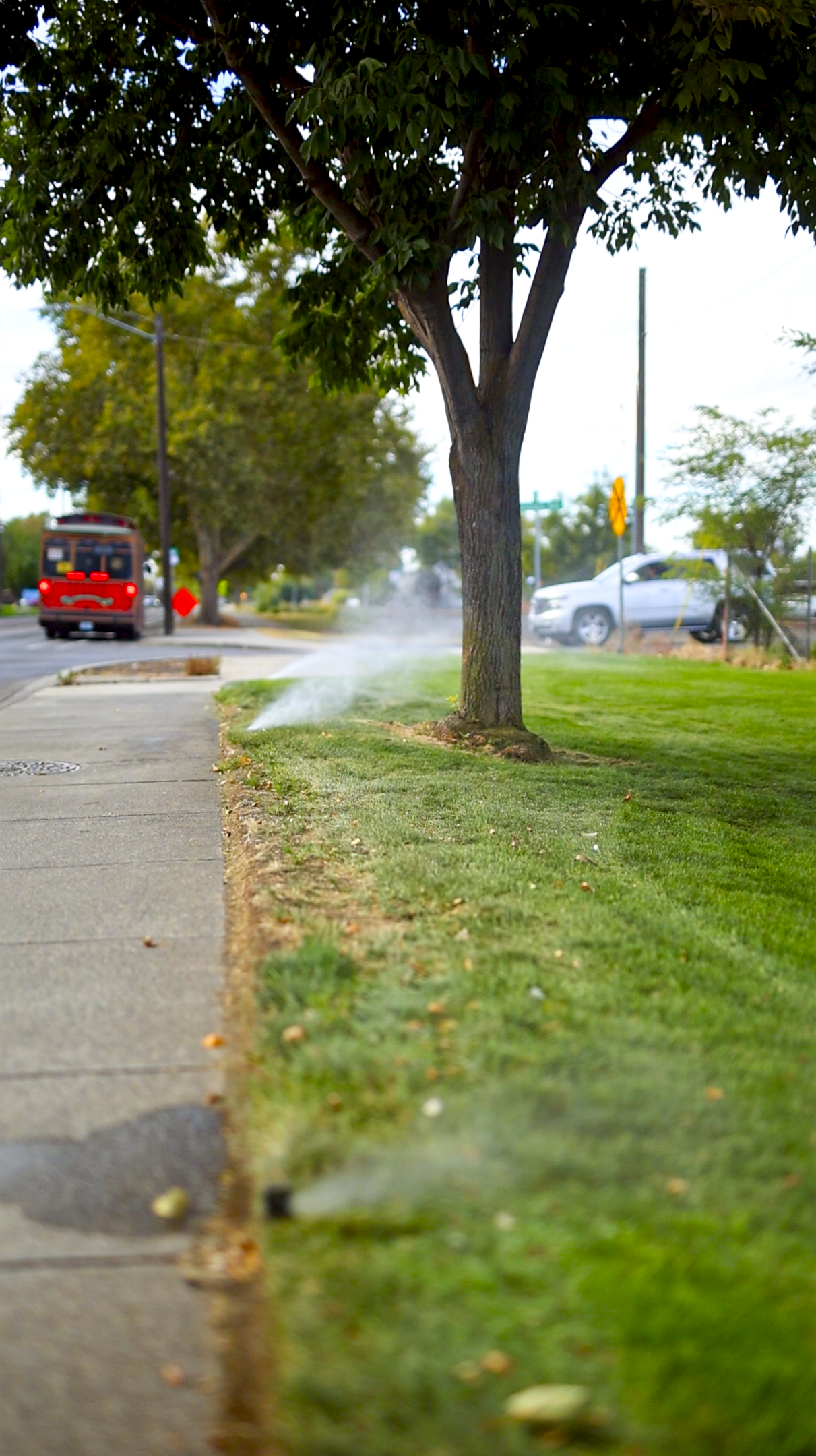 Still 2025-12-19 105126_1.109.1-2.png