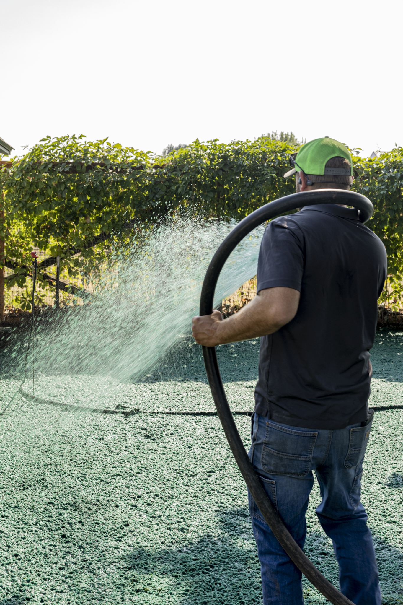 A man wearing a green cap, sunglasses, and a black shirt is watering a garden with a hose. The garden has a hedge and a green ground cover, with a sunny sky overhead.