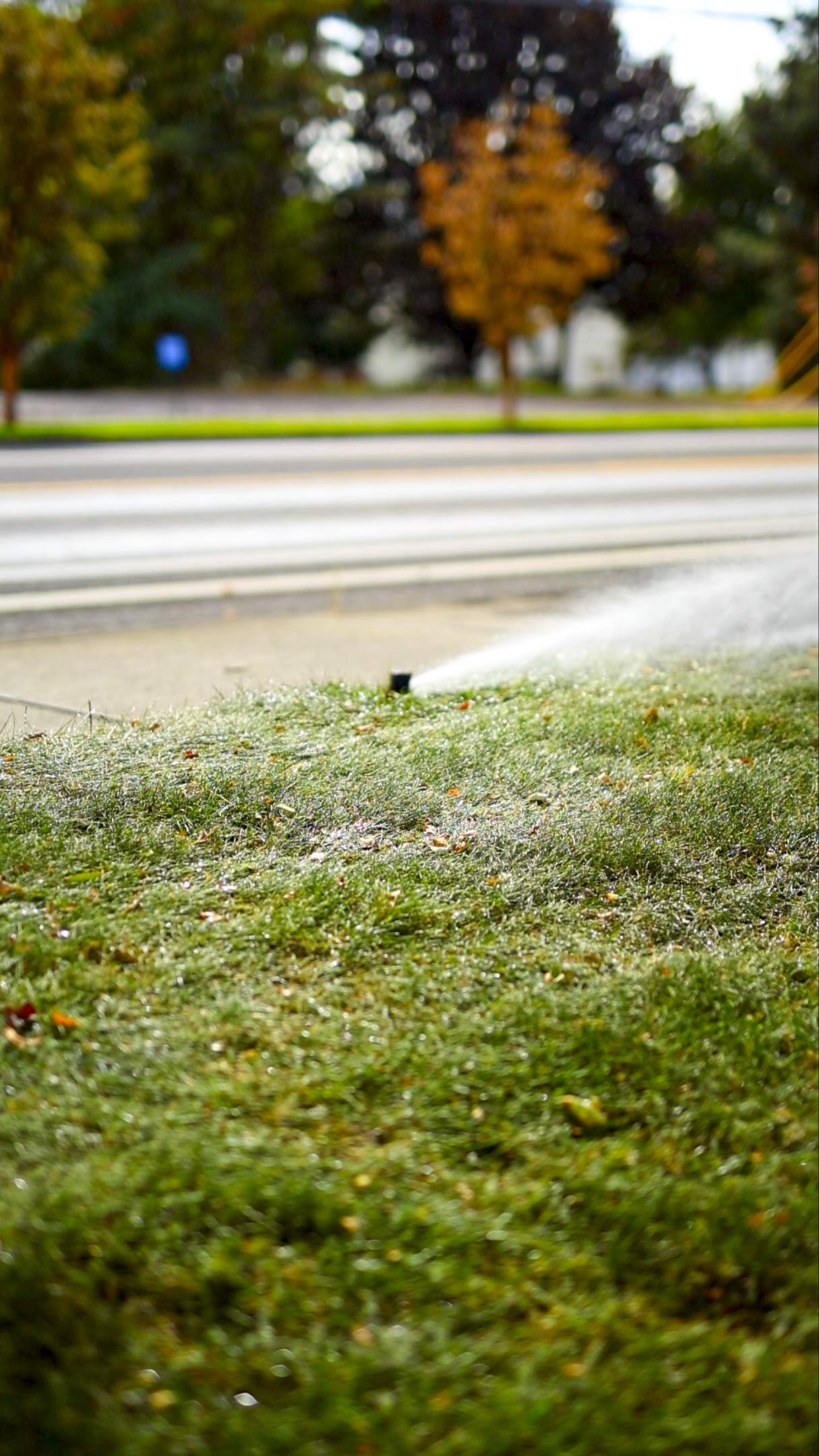 Still 2025-12-19 105126_1.105.1-2.png