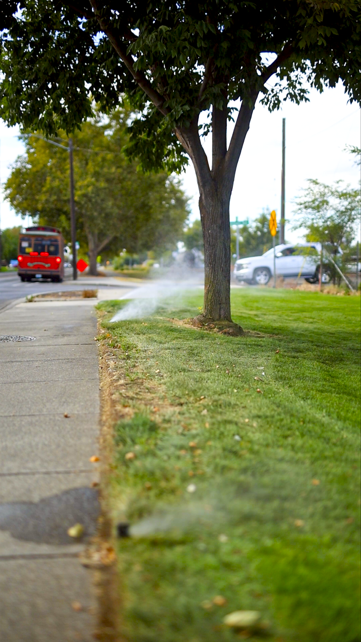 Still 2025-12-19 105126_1.109.1-3.png