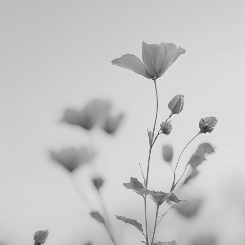 Delicate wildflower stems reaching upward, conveying growth and gentle strength.