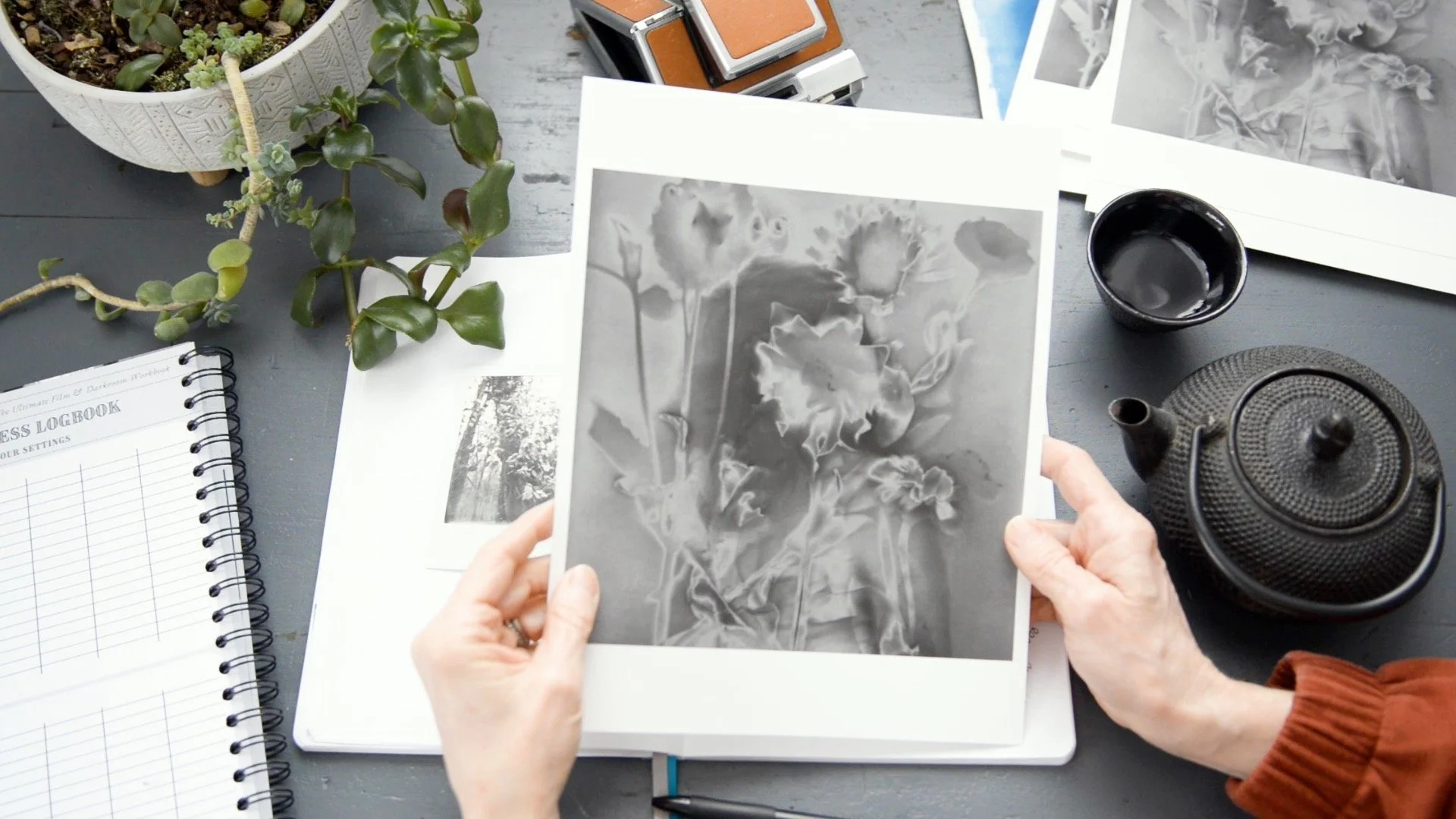 Person holding a black and white photograph of flowers and stems over a gray table with a teapot, a cup, a potted plant, and other photographs.