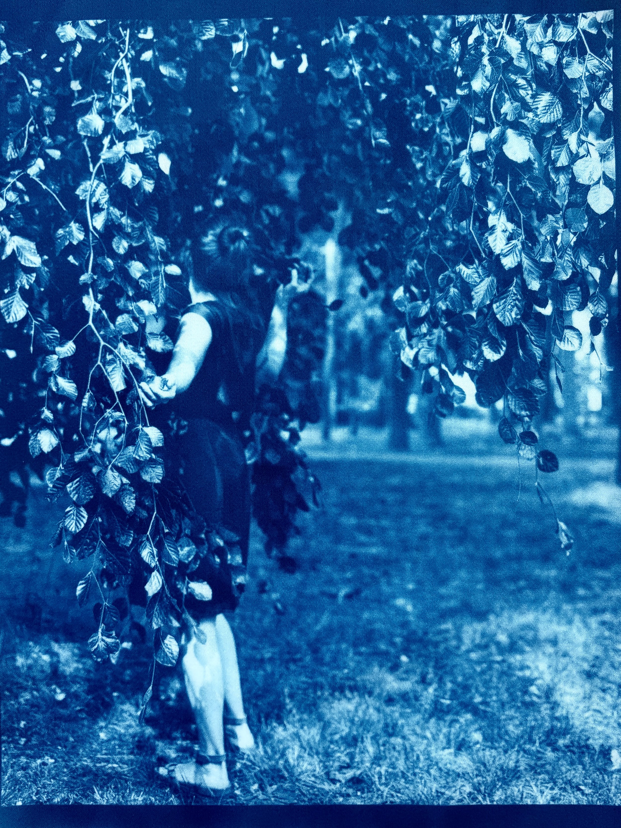 Nikki_Gardner_Fabric_Print_3.jpg